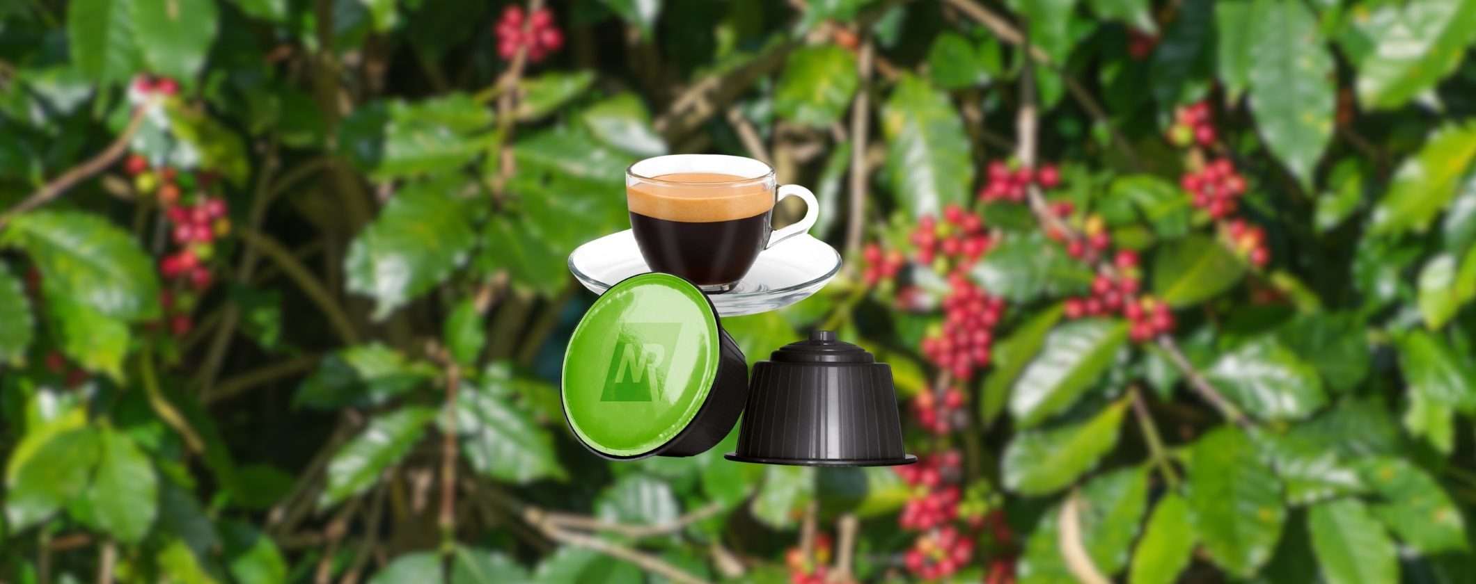 OFFERTA Capsule Caffè compatibili Dolce Gusto Espresso Bar OFFERTA Capsule Caffè compatibili Dolce Gusto Espresso Bar