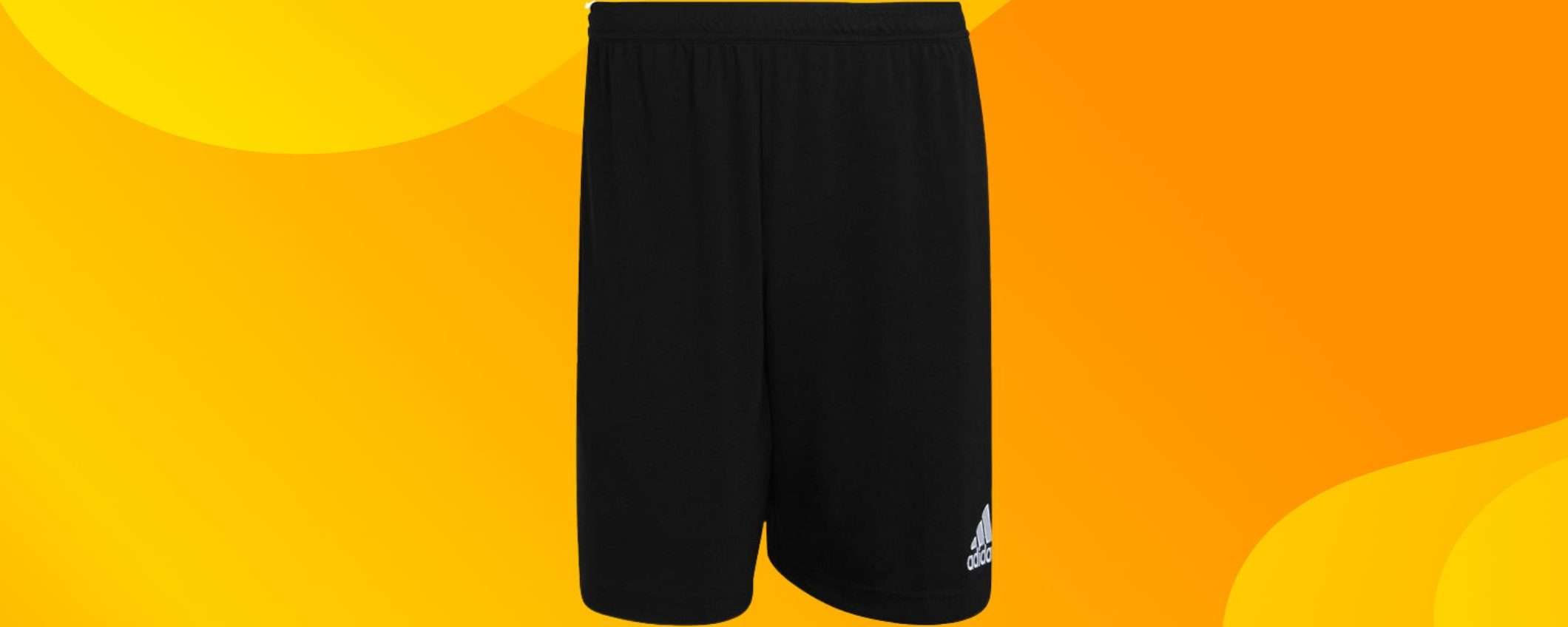 Pantaloncini Adidas a 11,99€ su Amazon: belli, freschi e COMODISSIMI (-48%) Pantaloncini Adidas a 11,99€ su Amazon: belli, freschi e COMODISSIMI (-48%)