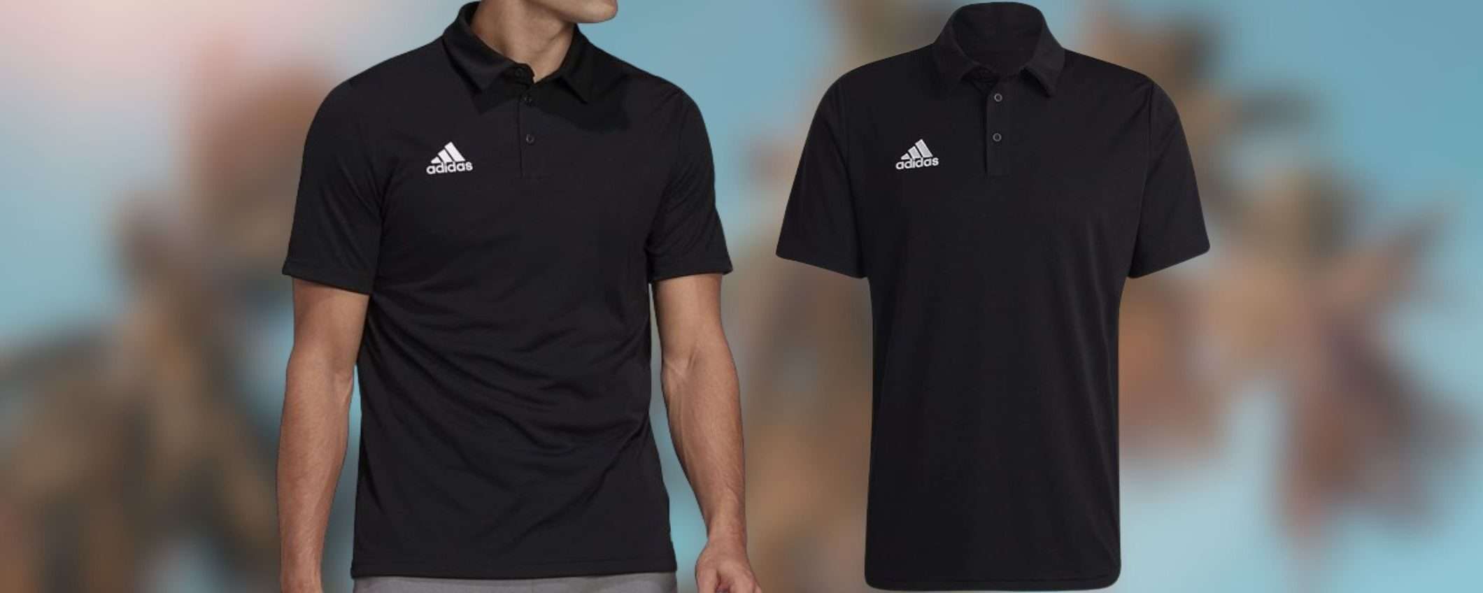 Polo Adidas da 16€ su Amazon: la BOMBA a tempo limitato torna disponibile Polo Adidas da 16€ su Amazon: la BOMBA a tempo limitato torna disponibile