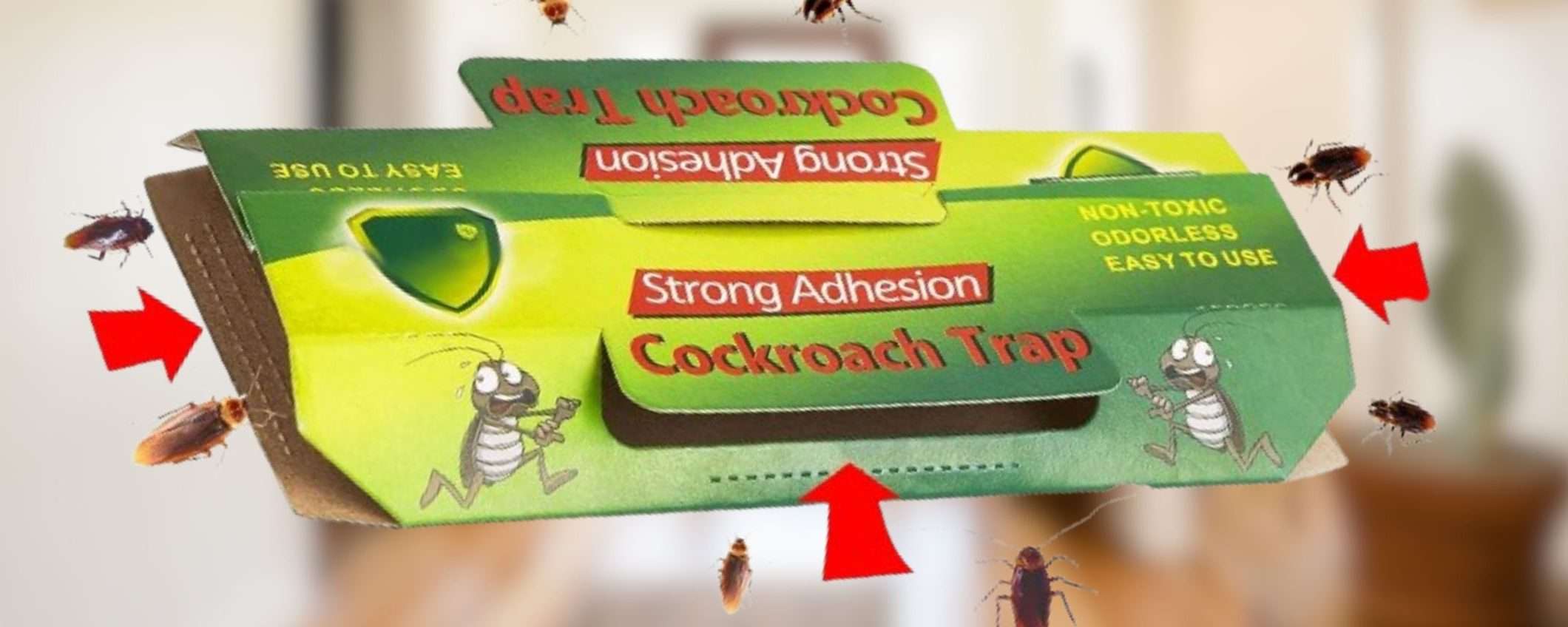 Liberati dagli SCARAFAGGI con queste trappole super EFFICACI (0,53 al pz.) Liberati dagli SCARAFAGGI con queste trappole super EFFICACI (0,53 al pz.)