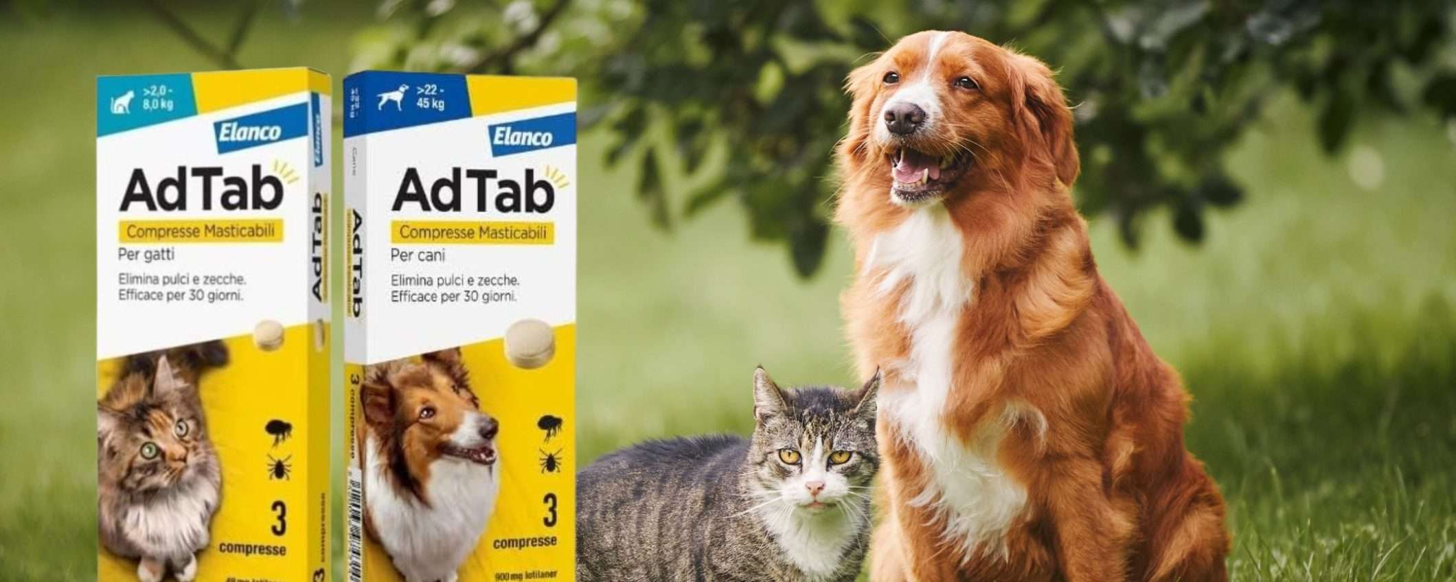 AdTab per cane e per gatto: l'originale è su Amazon a prezzo ECCEZIONALE