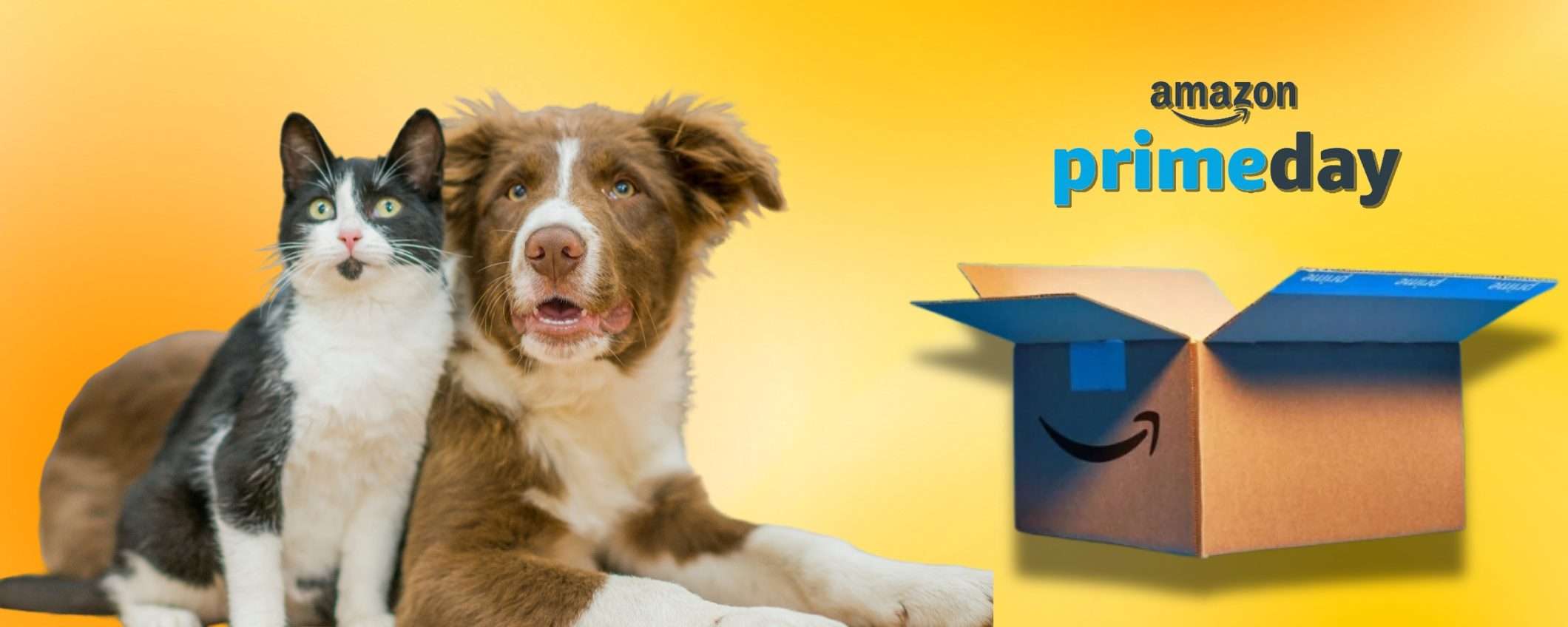 Animali SFAMATI con sconti ASSURDI al Prime Day: tutte le occasioni