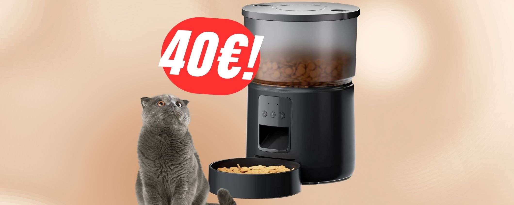 TRIPLO SCONTO per il distributore automatico di cibo per cani o gatti (40€!) TRIPLO SCONTO per il distributore automatico di cibo per cani o gatti (40€!)