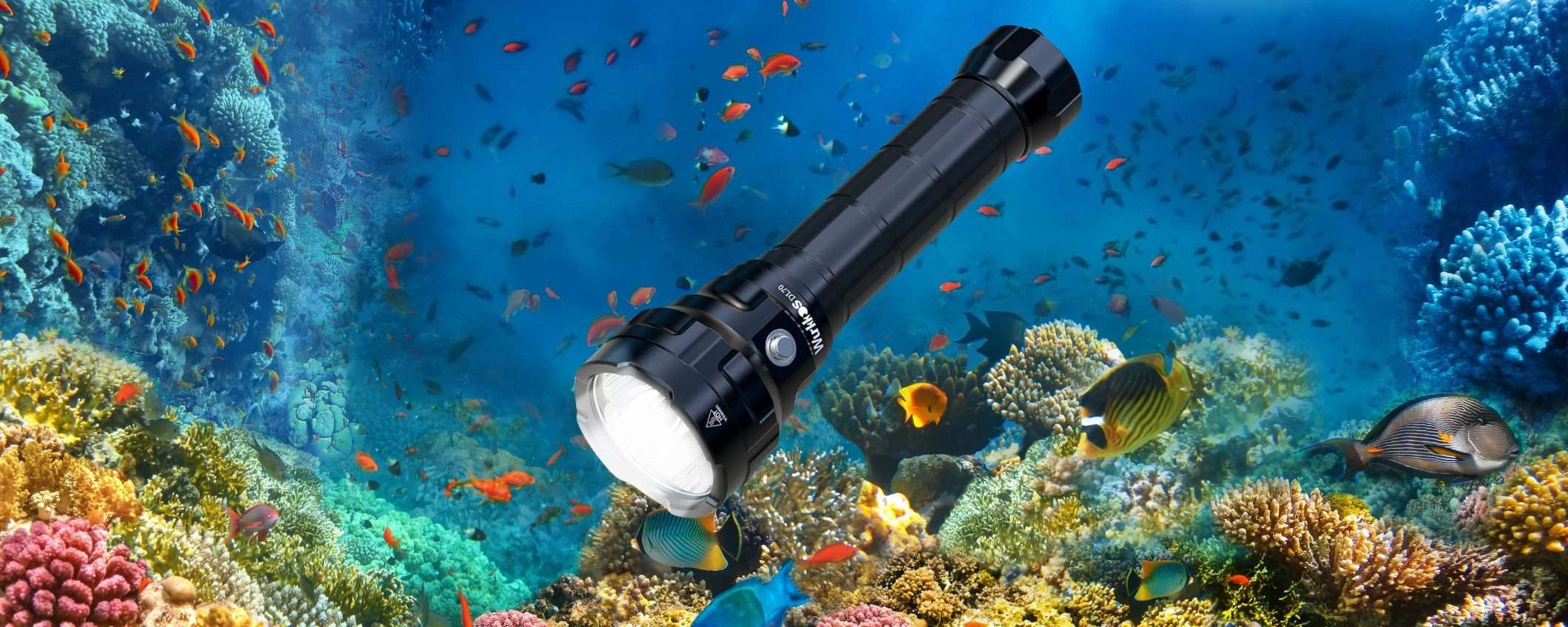 Torcia subacquea da 13000 LUMEN per le tue IMMERSIONI: offertissima Amazon (-23%) Torcia subacquea da 13000 LUMEN per le tue IMMERSIONI: offertissima Amazon (-23%)