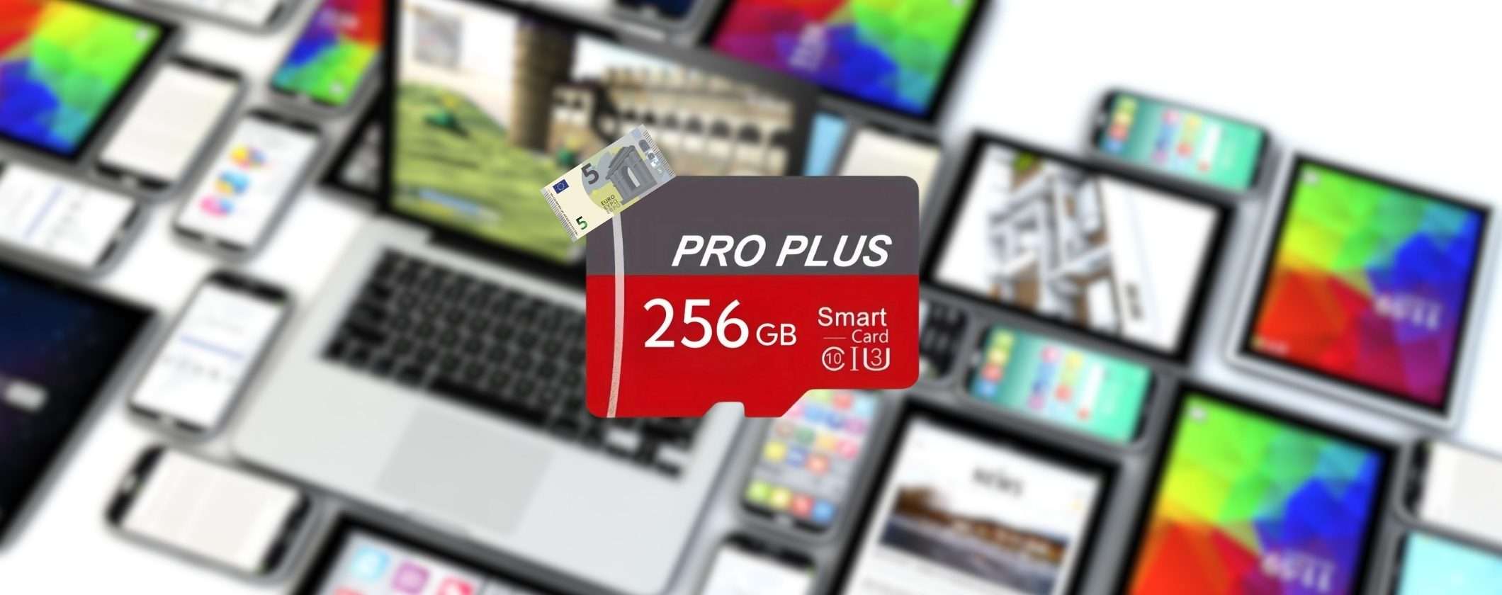 MicroSD 256GB a soli 5€ su TEMU: ULTIMI PEZZI MicroSD 256GB a soli 5€ su TEMU: ULTIMI PEZZI