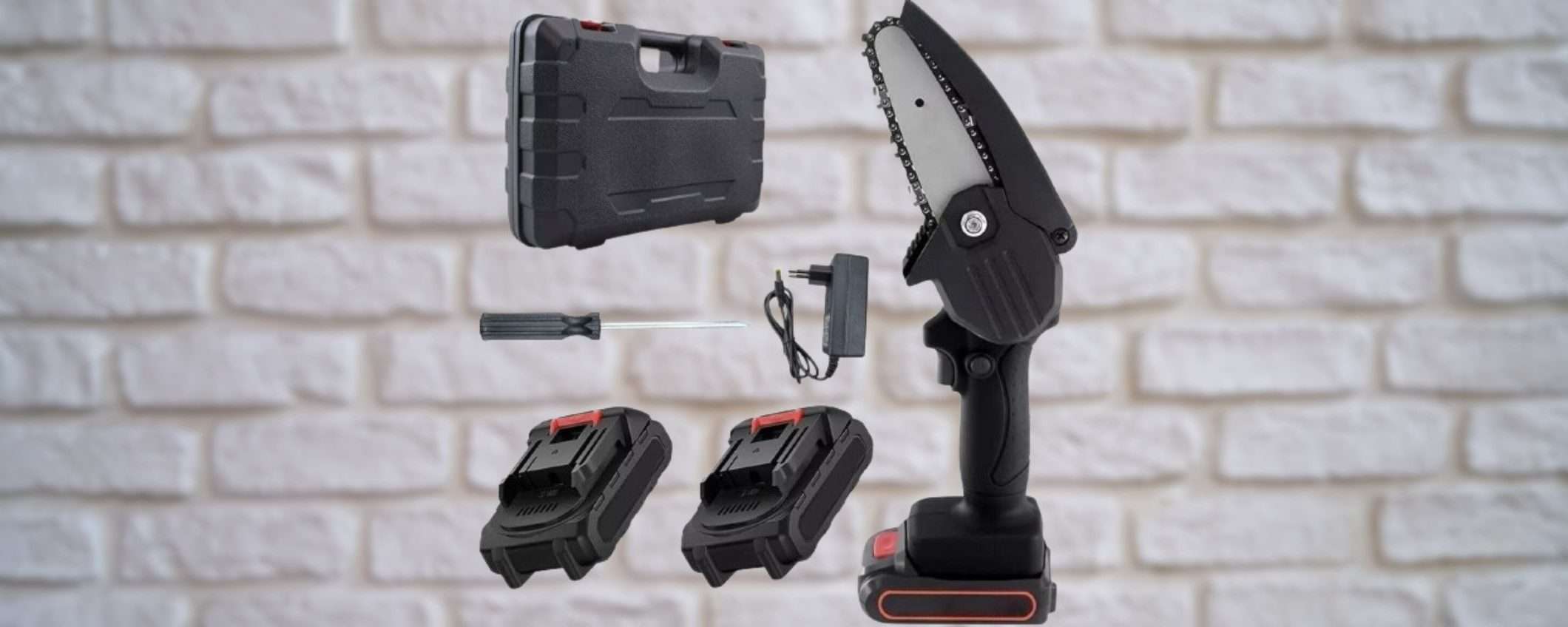 Con 23€ prendi una motosega compatta PAZZESCA con 2 batterie e accessori Con 23€ prendi una motosega compatta PAZZESCA con 2 batterie e accessori