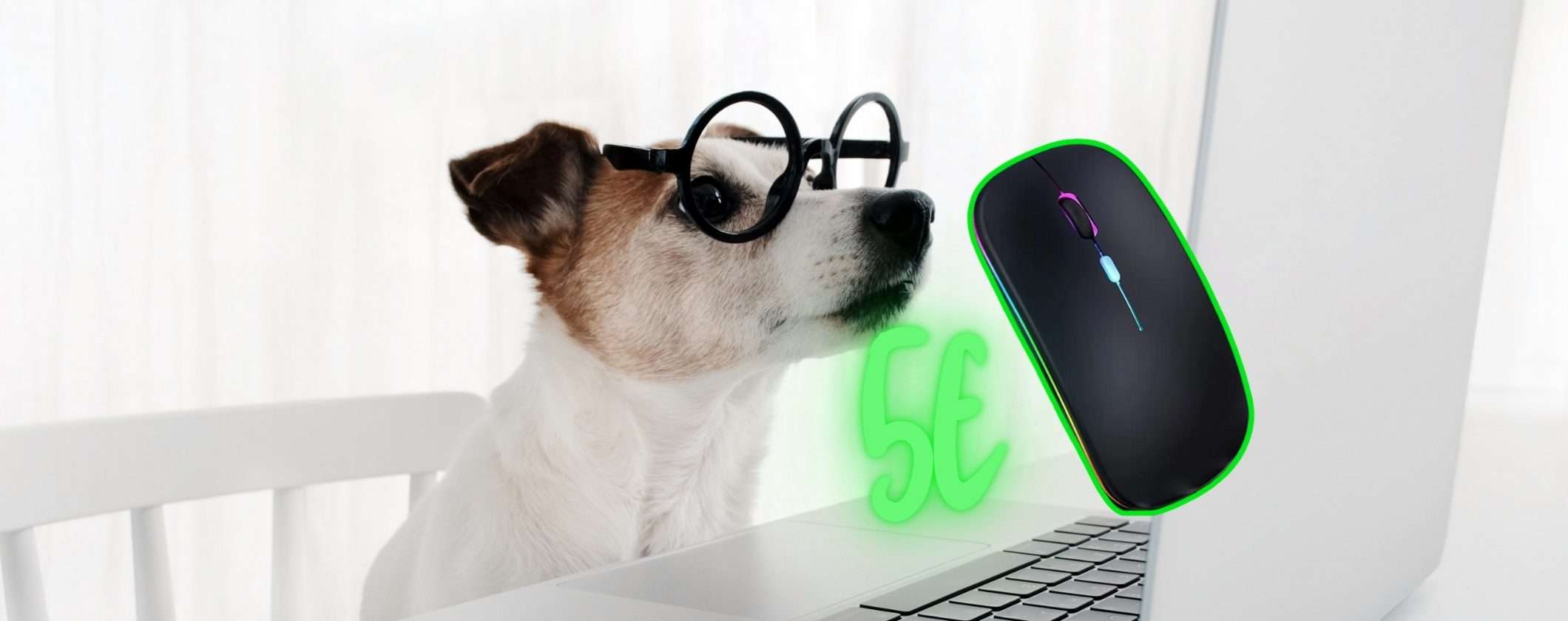 Mouse Wireless ULTRA COMPATTO a soli 5€ su TEMU Mouse Wireless ULTRA COMPATTO a soli 5€ su TEMU