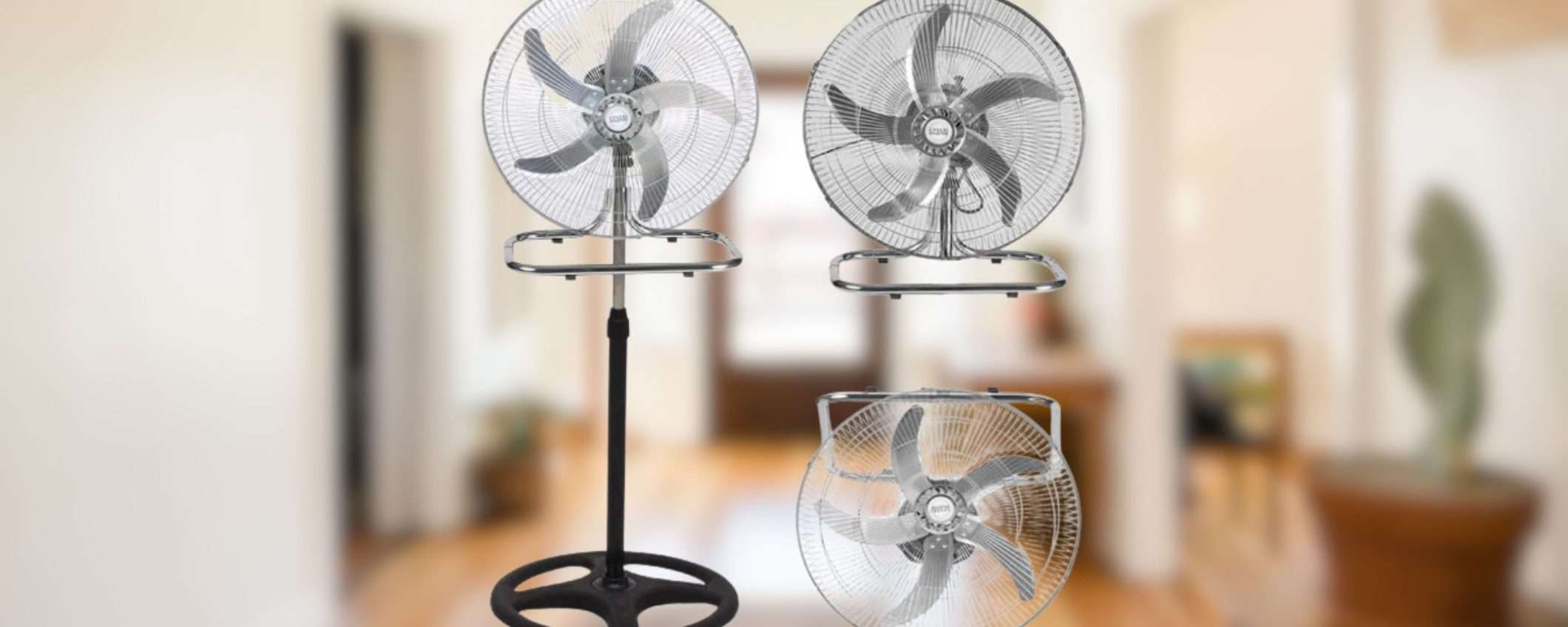 Un ventilatore 3 in 1 POTENTISSIMO: da terra, da tavolo e da muro (35€) Un ventilatore 3 in 1 POTENTISSIMO: da terra, da tavolo e da muro (35€)