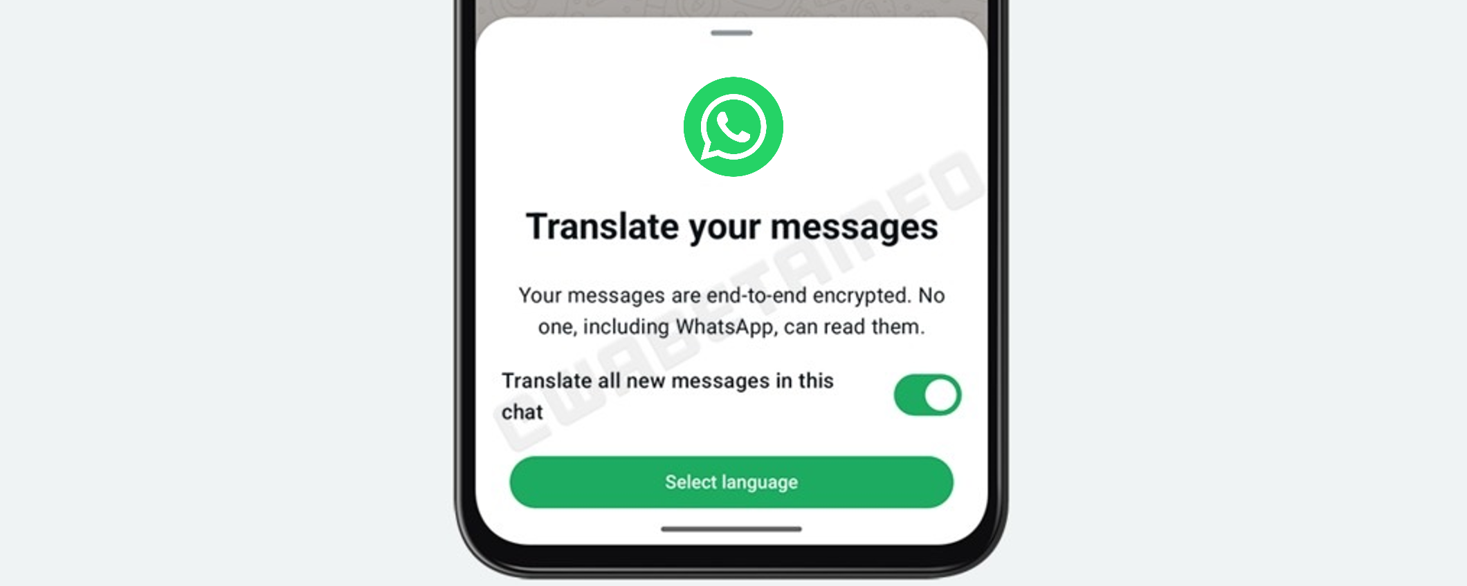 WhatsApp: la traduzione dei messaggi è ora disponibile per questi utenti WhatsApp: la traduzione dei messaggi è ora disponibile per questi utenti