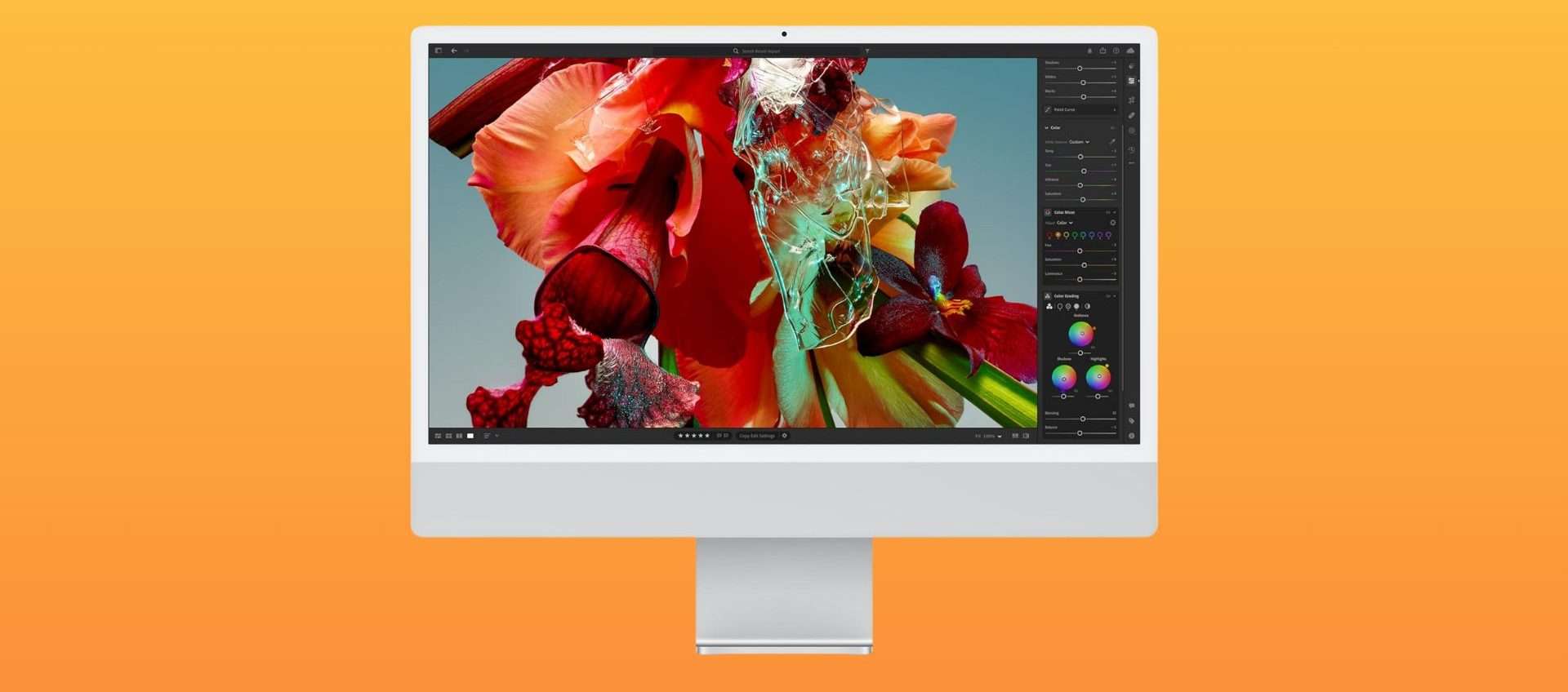 Apple iMac con M3, la bomba del giorno: su Amazon con il 20% di sconto Apple iMac con M3, la bomba del giorno: su Amazon con il 20% di sconto