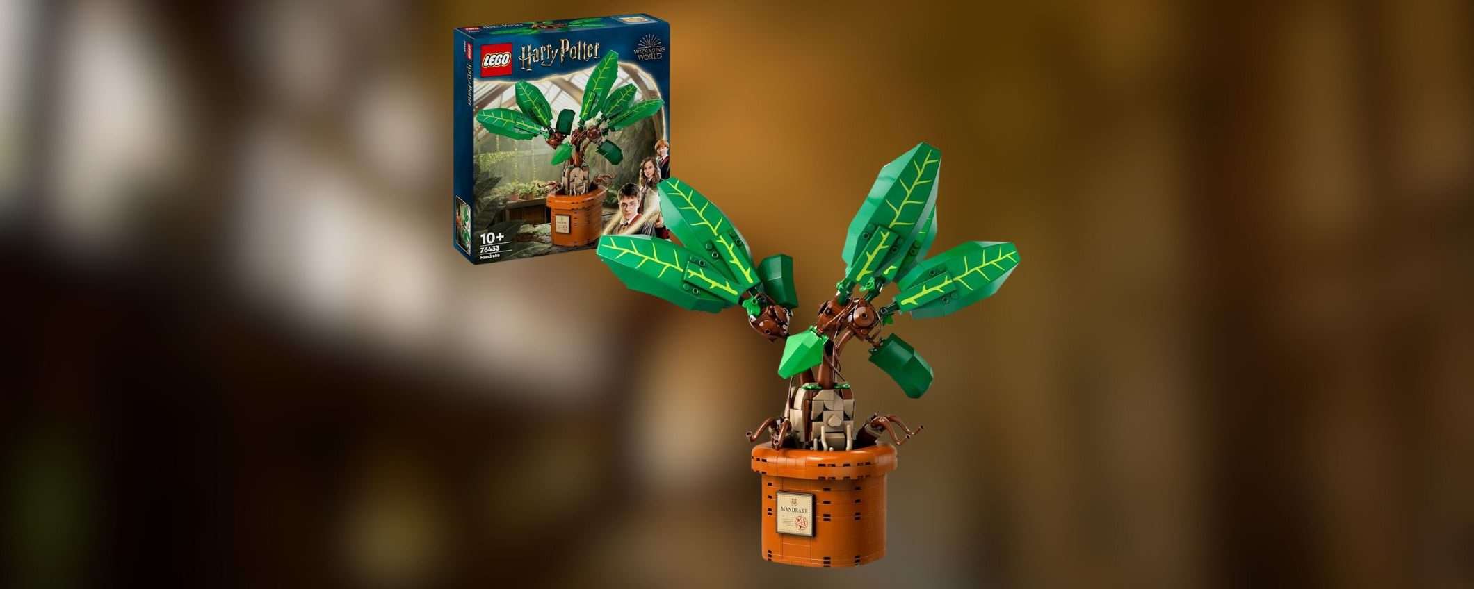 Set LEGO Harry Potter Mandragola di nuovo in SCONTO su Amazon Set LEGO Harry Potter Mandragola di nuovo in SCONTO su Amazon