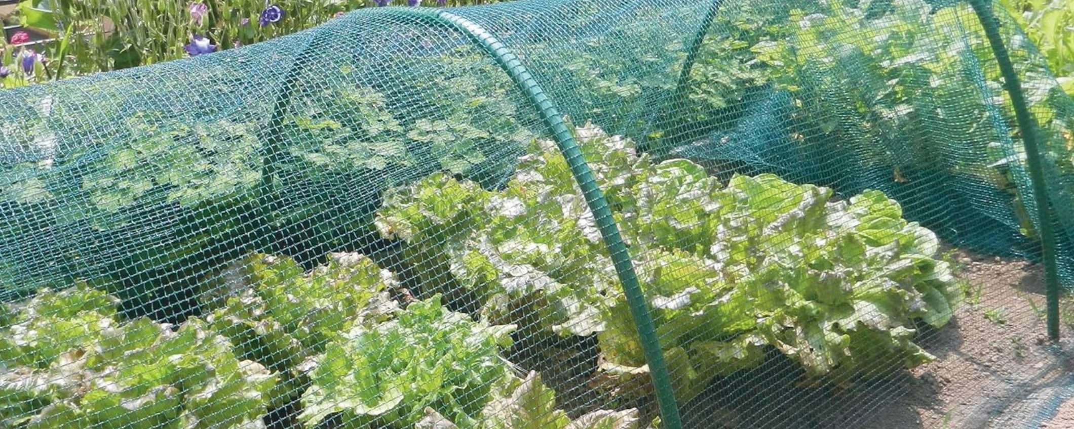 Proteggi orto e piante con questa RETE ANTIGRANDINE in offerta Proteggi orto e piante con questa RETE ANTIGRANDINE in offerta