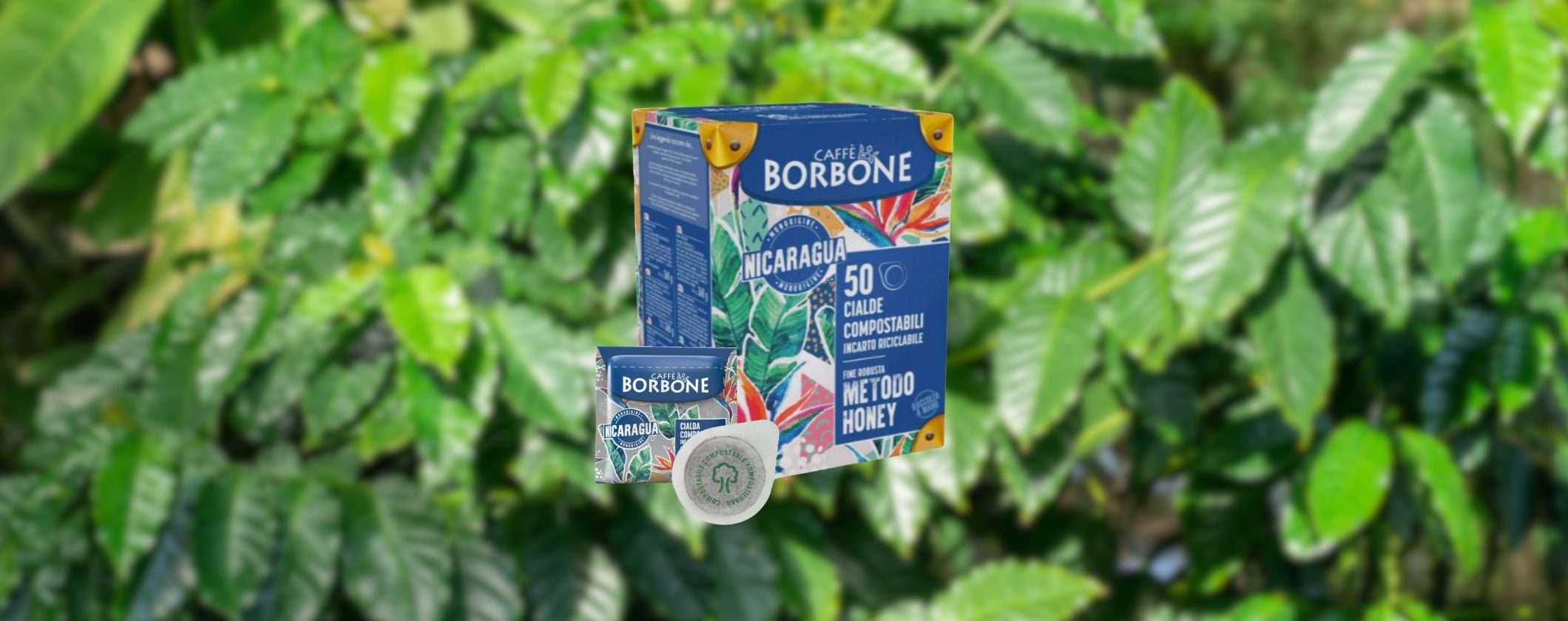 Cialde Caffè Borbone Nicaragua: ESPERIENZA UNICA a prezzo top Cialde Caffè Borbone Nicaragua: ESPERIENZA UNICA a prezzo top