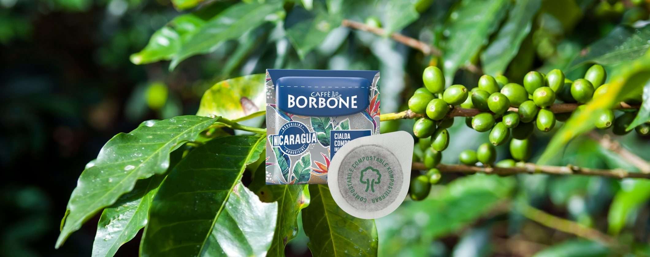 Cialde Caffè Borbone Nicaragua: ESPRESSO LUSSO a prezzo LOW COST Cialde Caffè Borbone Nicaragua: ESPRESSO LUSSO a prezzo LOW COST