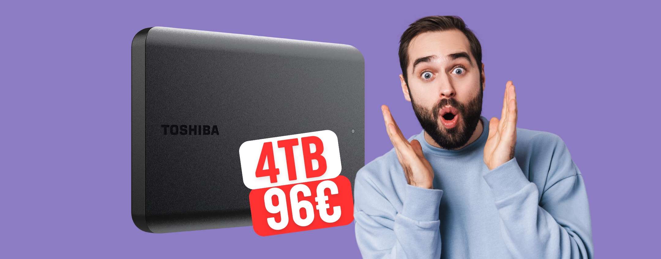 hard disk toshiba canvio basics