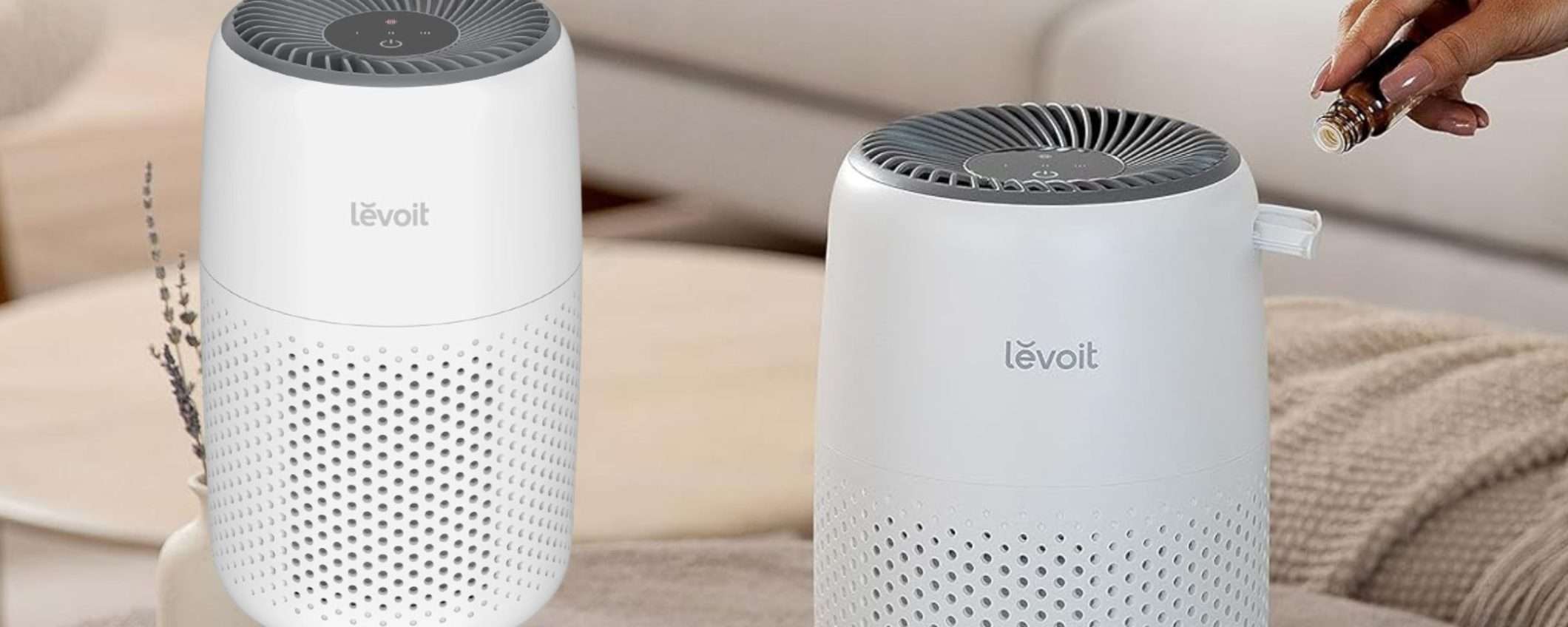 Muffe e polvere nell'aria ADDIO con questo purificatore premium a 42€ Muffe e polvere nell'aria ADDIO con questo purificatore premium a 42€