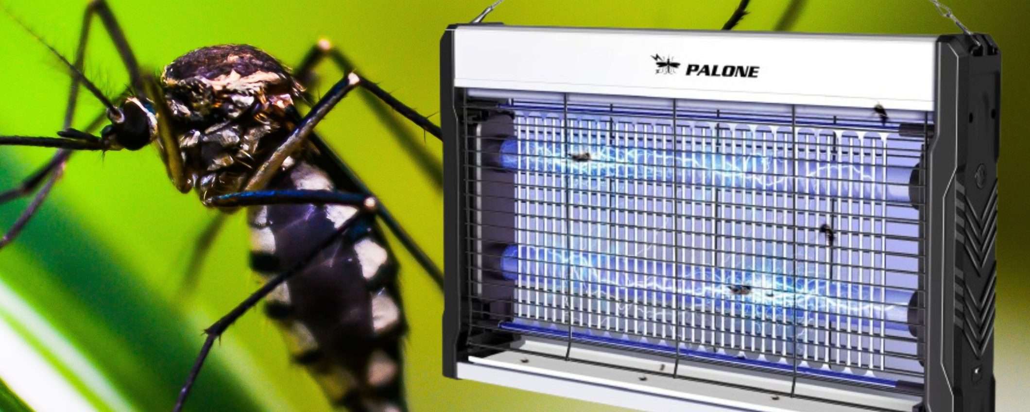 Zanzare DISTRUTTE in un lampo: zanzariera elettrica a prezzo SHOCK (22€) Zanzare DISTRUTTE in un lampo: zanzariera elettrica a prezzo SHOCK (22€)