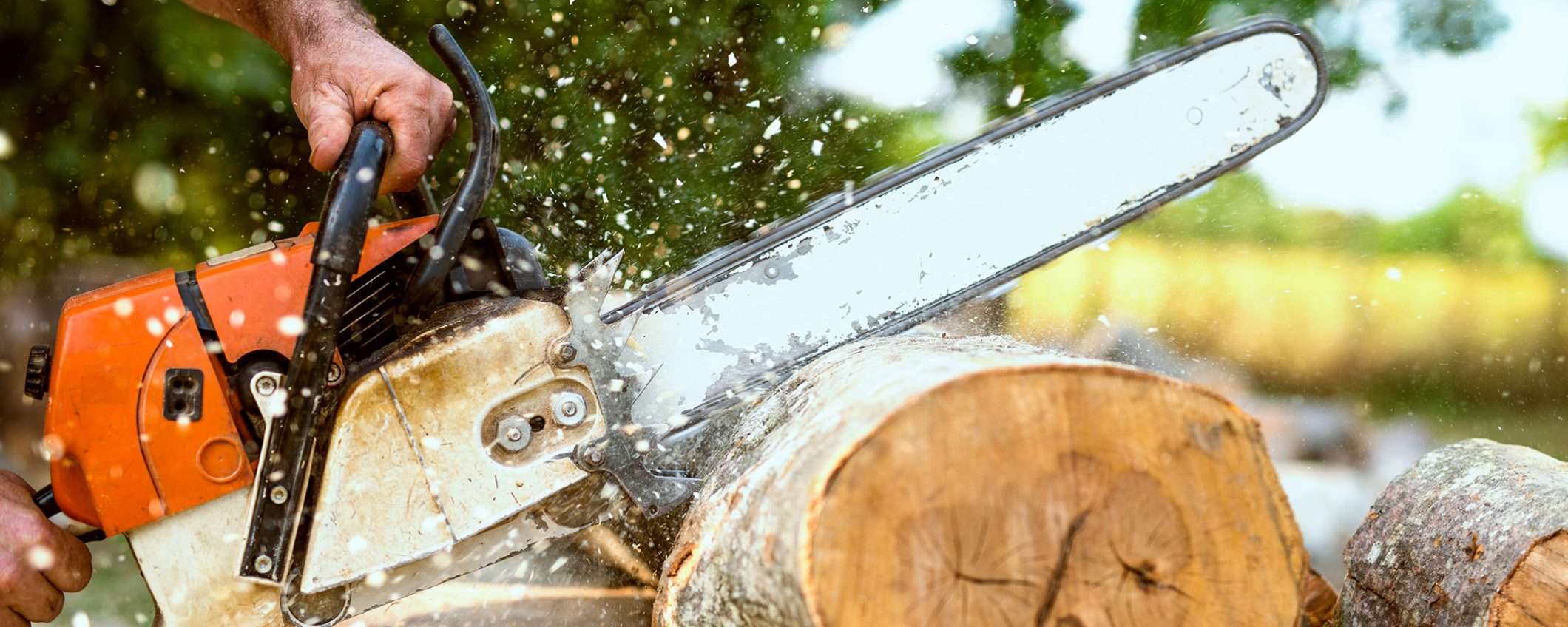 Volantino Tecnomat, tornano i prezzi stock: dalla motosega alla batteria per auto Volantino Tecnomat, tornano i prezzi stock: dalla motosega alla batteria per auto