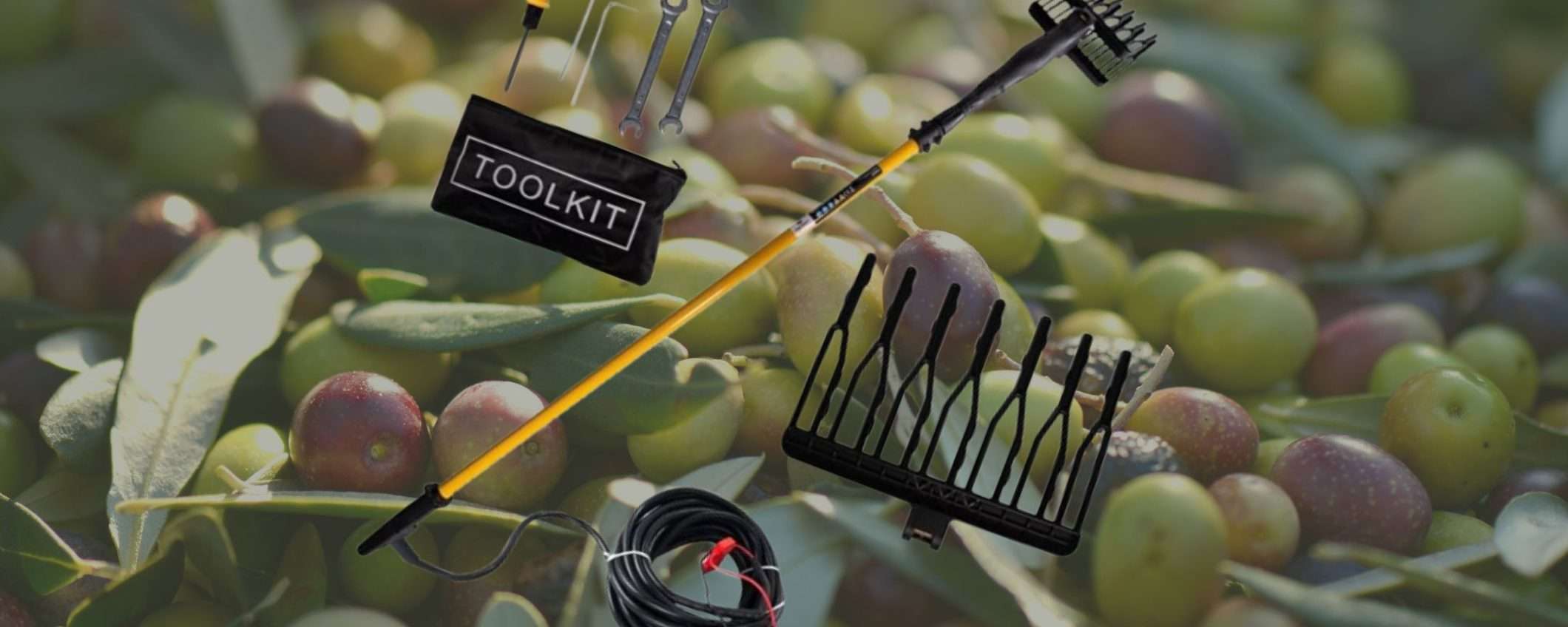 Scuotitore a batteria per olive su Amazon a prezzo SHOCK: qualità eccezionale Scuotitore a batteria per olive su Amazon a prezzo SHOCK: qualità eccezionale