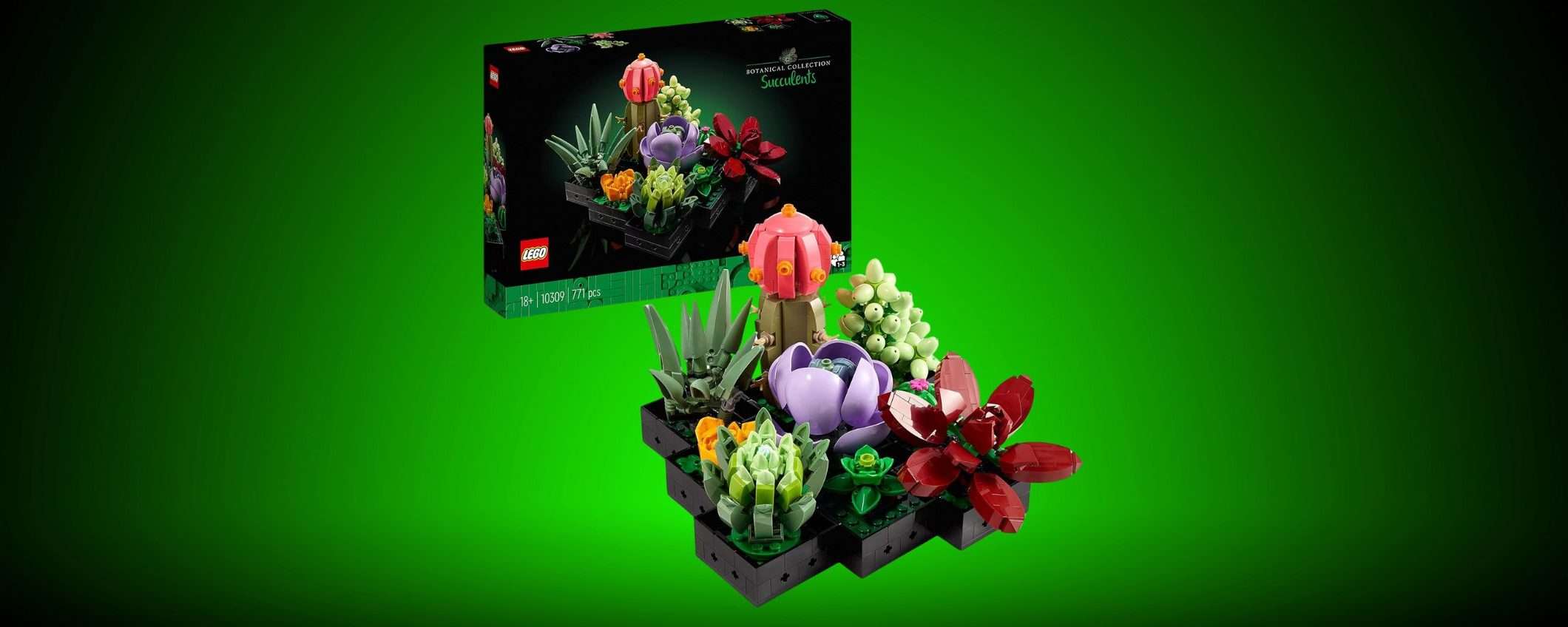 Il set LEGO Icons Piante Grasse Artificiali è in sconto Amazon per il Black Friday (-20%) Il set LEGO Icons Piante Grasse Artificiali è in sconto Amazon per il Black Friday (-20%)
