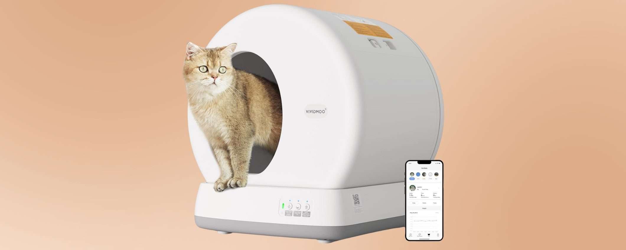 Lettiera automatica autopulente per gatti: che occasione col DOPPIO SCONTO Amazon Lettiera automatica autopulente per gatti: che occasione col DOPPIO SCONTO Amazon