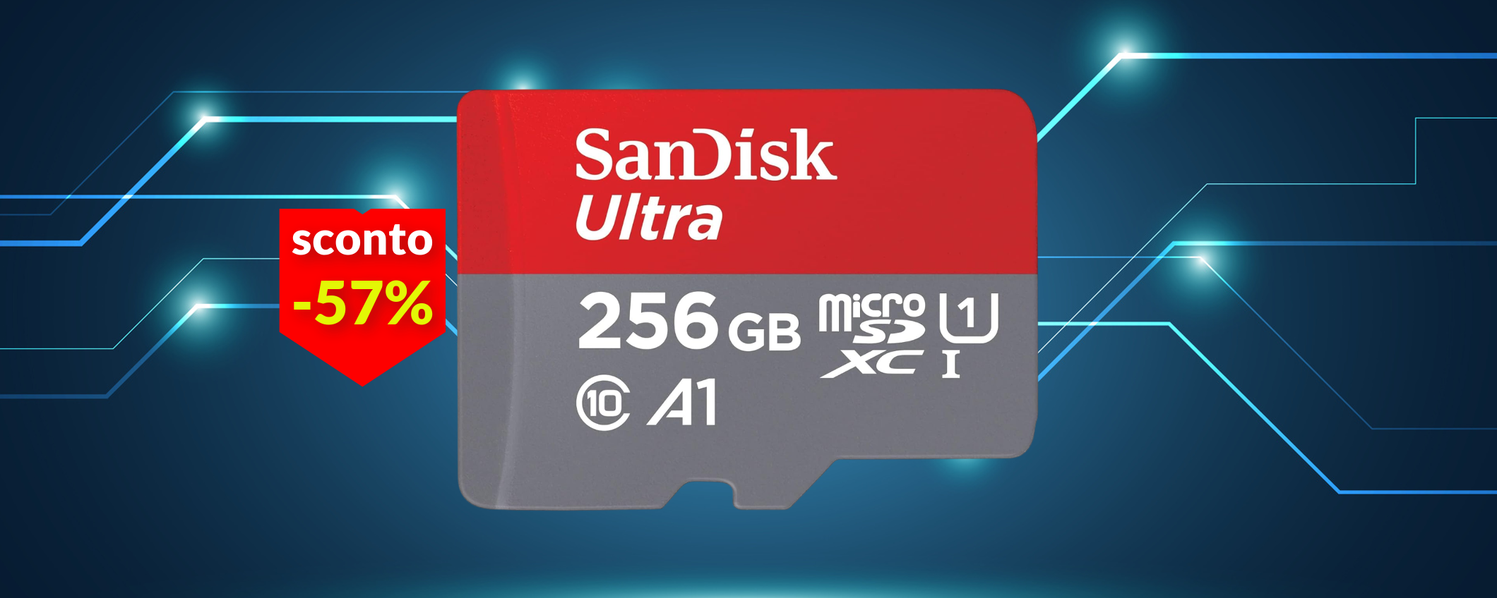 MicroSD 256GB per la prima volta a meno di 30€: velocità impressionante MicroSD 256GB per la prima volta a meno di 30€: velocità impressionante
