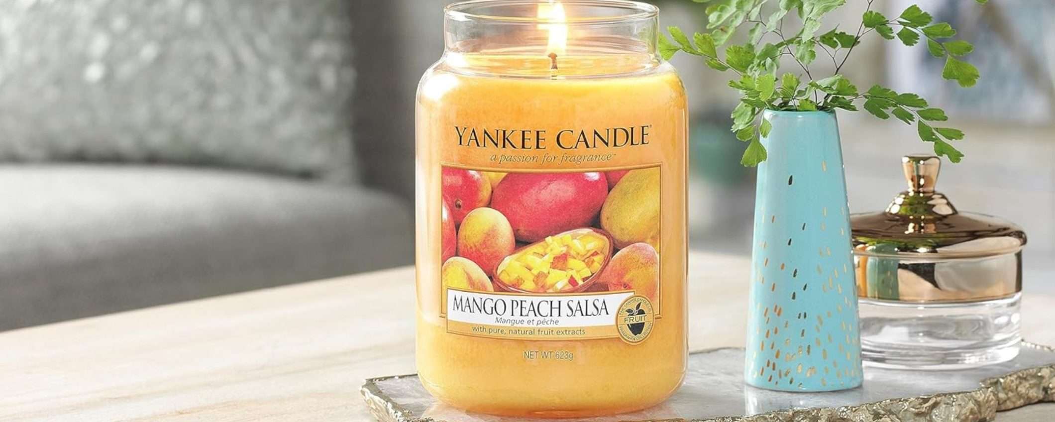 Yankee Candle in giara grande: prezzo Amazon WOW per fine anno (da 19,99€) Yankee Candle in giara grande: prezzo Amazon WOW per fine anno (da 19,99€)
