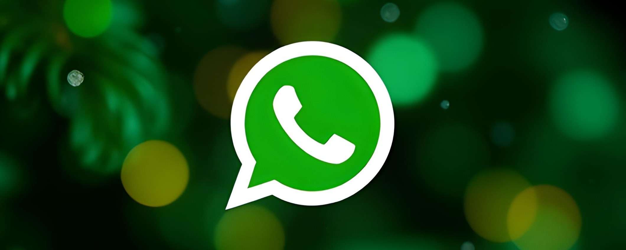 Festa dell'Immacolata: 10 messaggi di auguri da mandare su WhatsApp Festa dell'Immacolata: 10 messaggi di auguri da mandare su WhatsApp