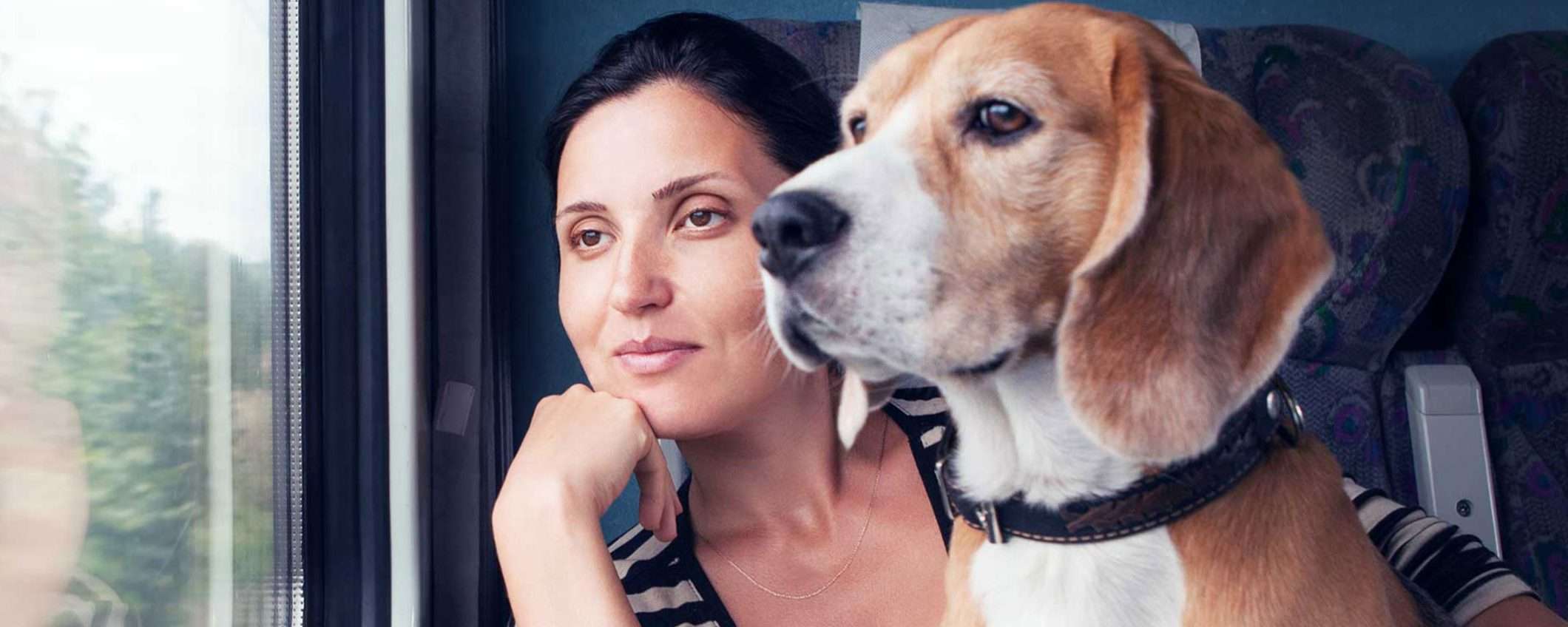 Trenitalia, promo per le feste: i cani viaggiano GRATIS su Frecce e Intercity Trenitalia, promo per le feste: i cani viaggiano GRATIS su Frecce e Intercity