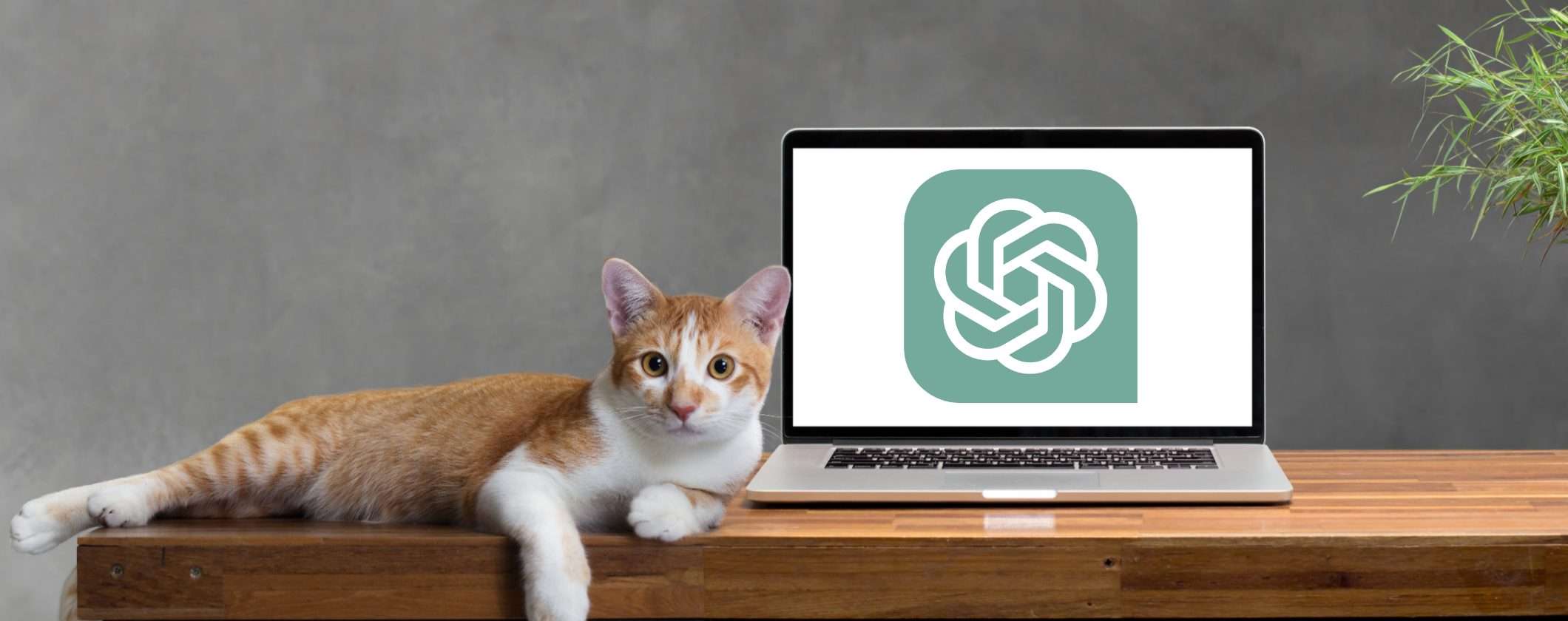 Su ChatGPT presto potrebbe arrivare la pubblicità Su ChatGPT presto potrebbe arrivare la pubblicità