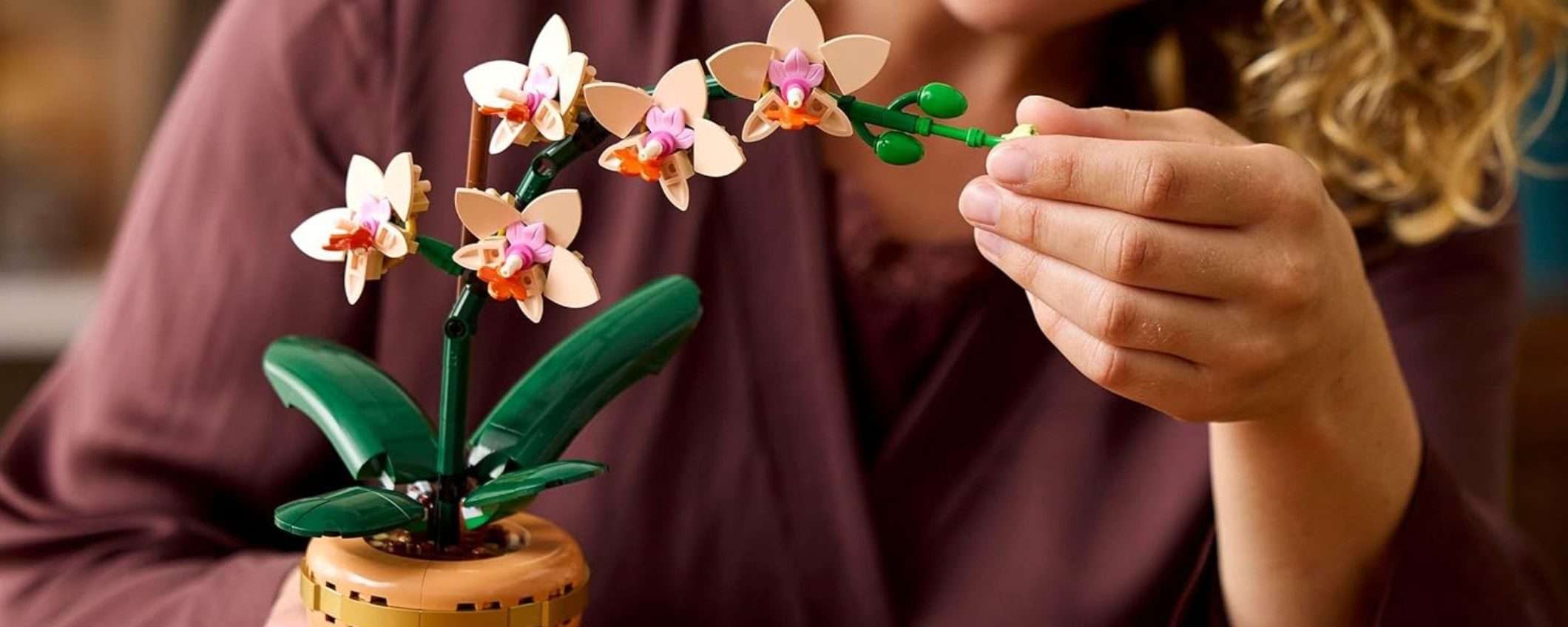 Ecco la nuova Mini Orchidea LEGO: subito disponibile su Amazon Ecco la nuova Mini Orchidea LEGO: subito disponibile su Amazon