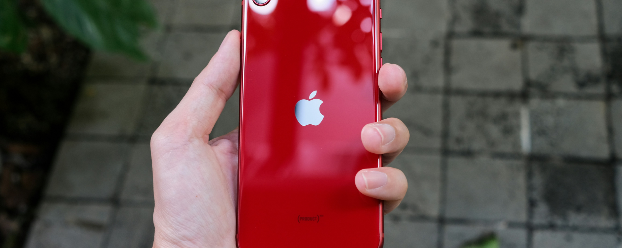 iPhone SE 4, sguardo da vicino sul design: c'è un grande ritorno iPhone SE 4, sguardo da vicino sul design: c'è un grande ritorno