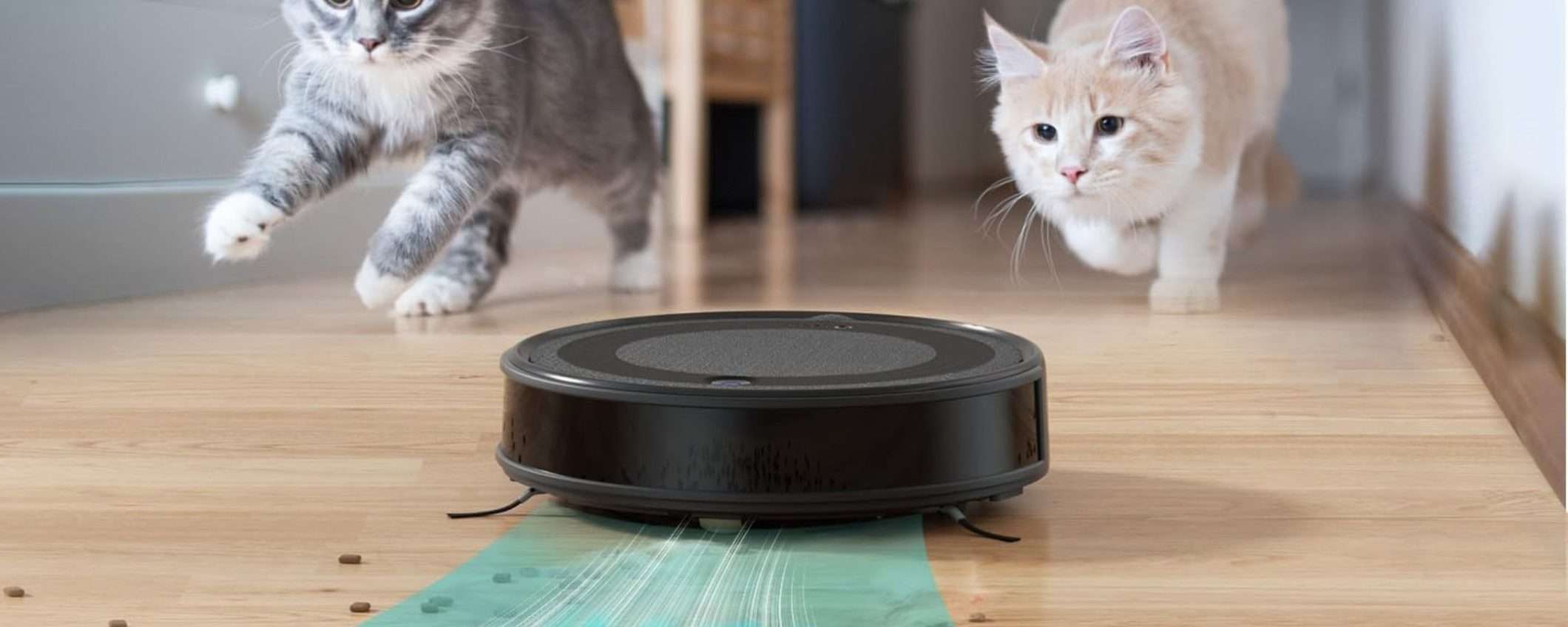 Sconto FUORI DI TESTA su Amazon per il robot aspirapolvere Lefant M310 Sconto FUORI DI TESTA su Amazon per il robot aspirapolvere Lefant M310