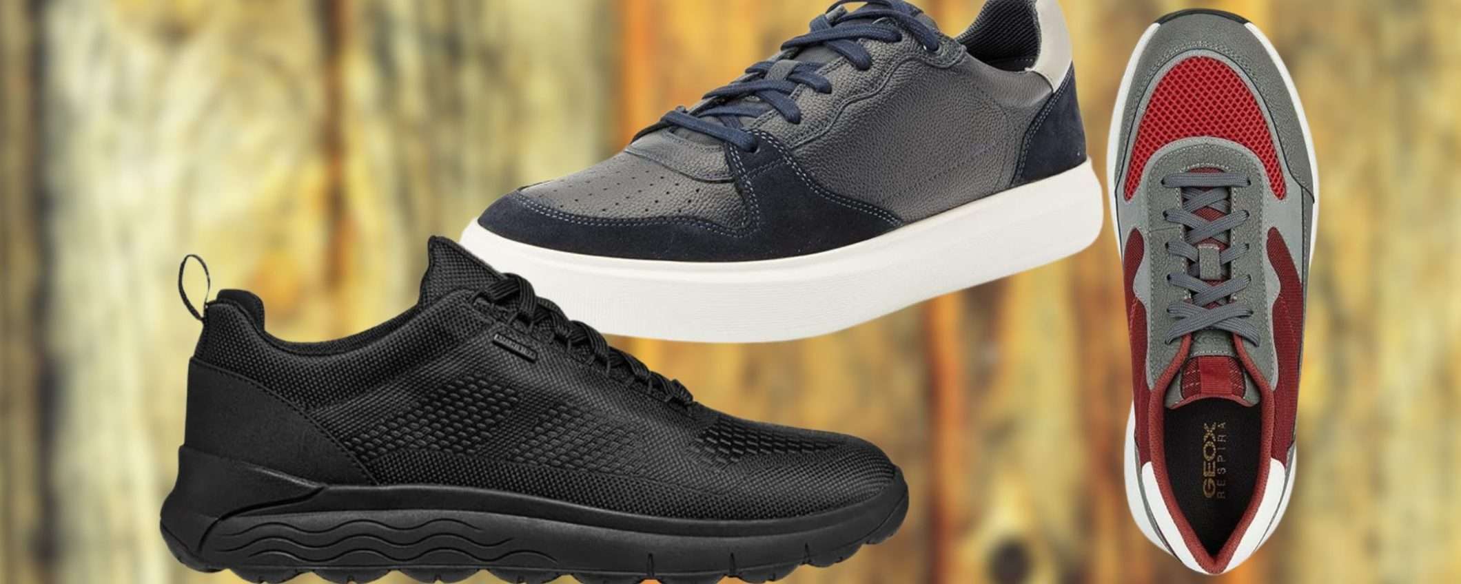 LP test fra | Scarpe GEOX sotto i 50€ su Amazon LP test fra | Scarpe GEOX sotto i 50€ su Amazon