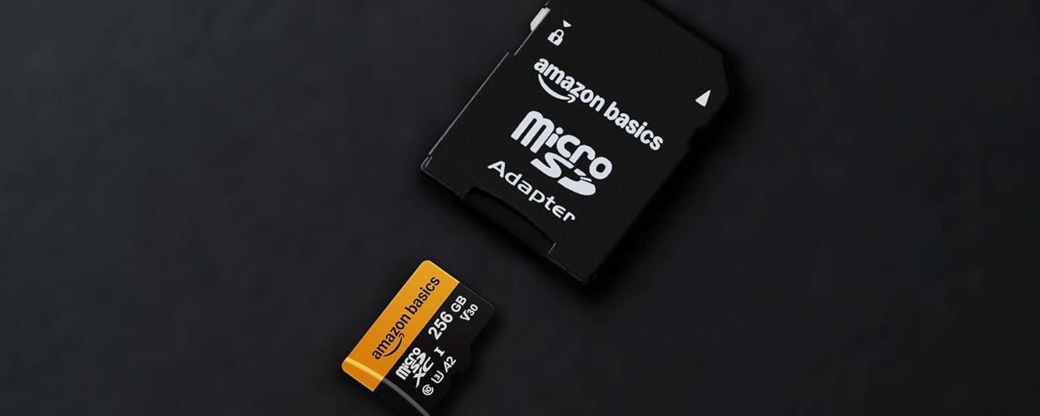 Velocissima microSD da 256GB ad un prezzo da non perdere su Amazon Velocissima microSD da 256GB ad un prezzo da non perdere su Amazon