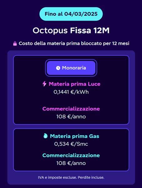 octopus fissa 12 mesi offerta
