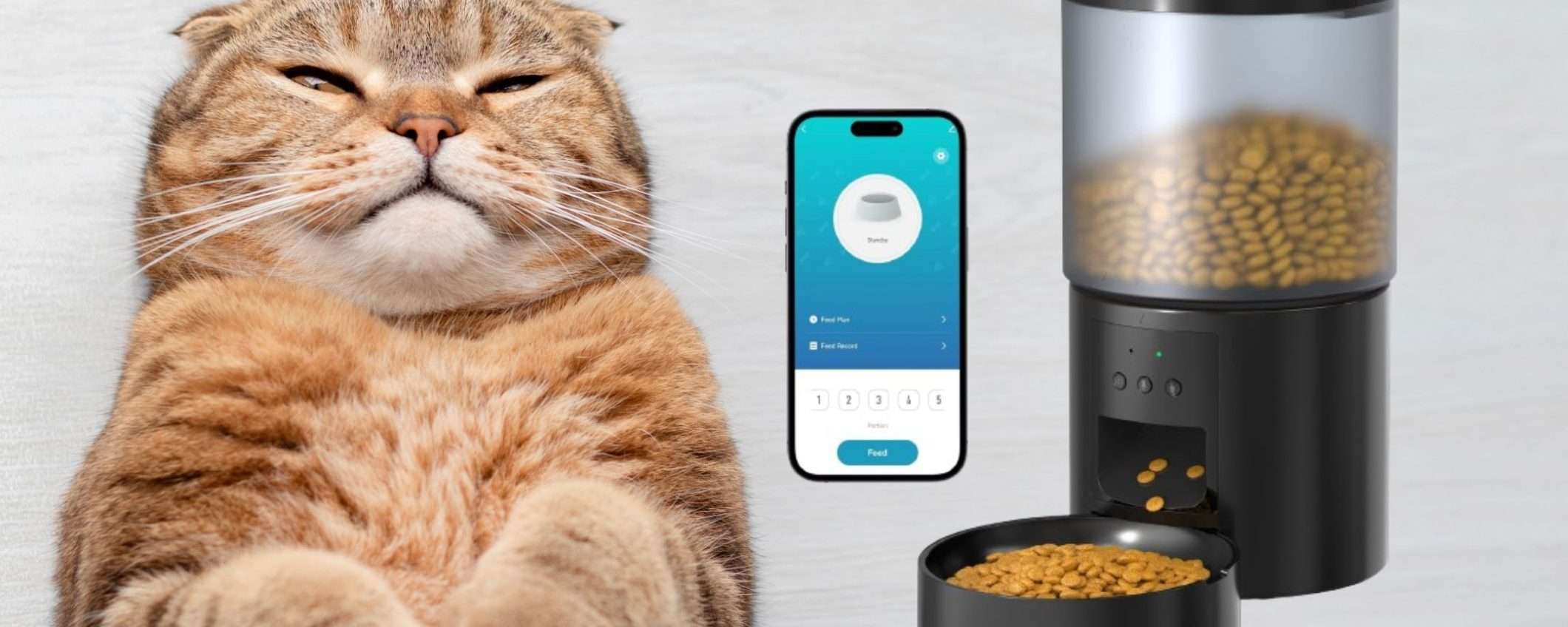 Distributore SMART di cibo: utilissimo, il prezzo su Amazon è WOW (36€) Distributore SMART di cibo: utilissimo, il prezzo su Amazon è WOW (36€)