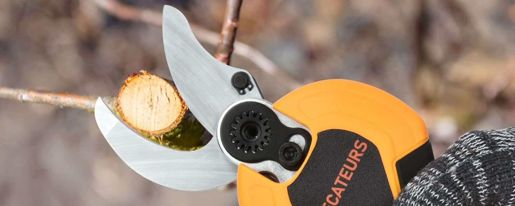 Forbici per potatura elettriche professionali: offerta A TEMPO di Amazon (-15%) Forbici per potatura elettriche professionali: offerta A TEMPO di Amazon (-15%)