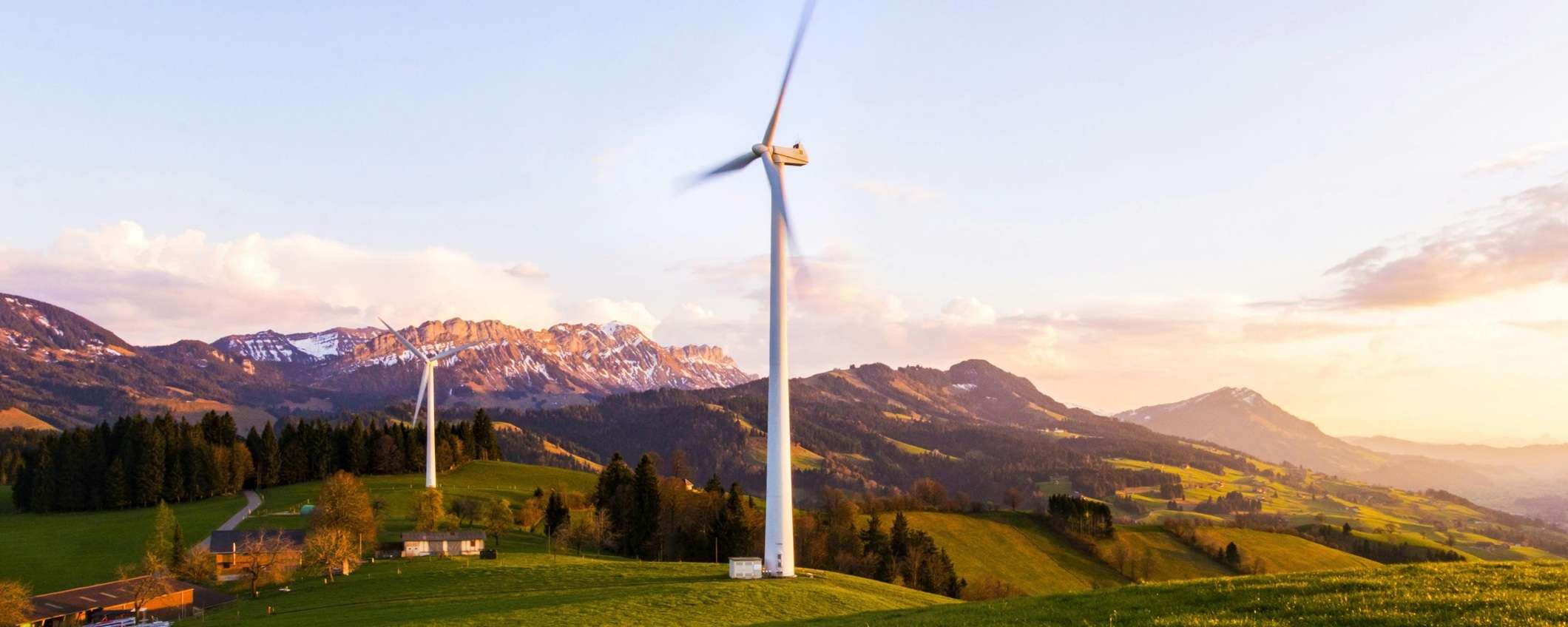 Scopri le tariffe 100% green di Octopus Energy per la tua casa Scopri le tariffe 100% green di Octopus Energy per la tua casa