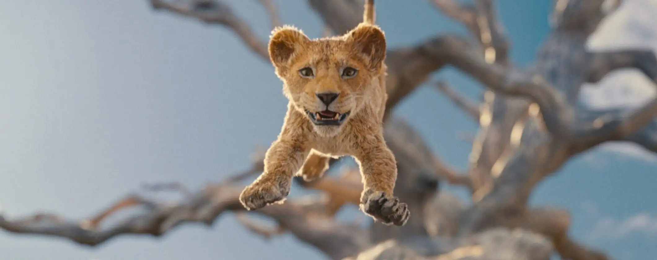 Mufasa: Il Re Leone presto disponibile in esclusiva su Disney+ Mufasa: Il Re Leone presto disponibile in esclusiva su Disney+