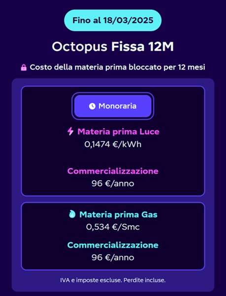 octopus fissa 12 mesi 18 marzo