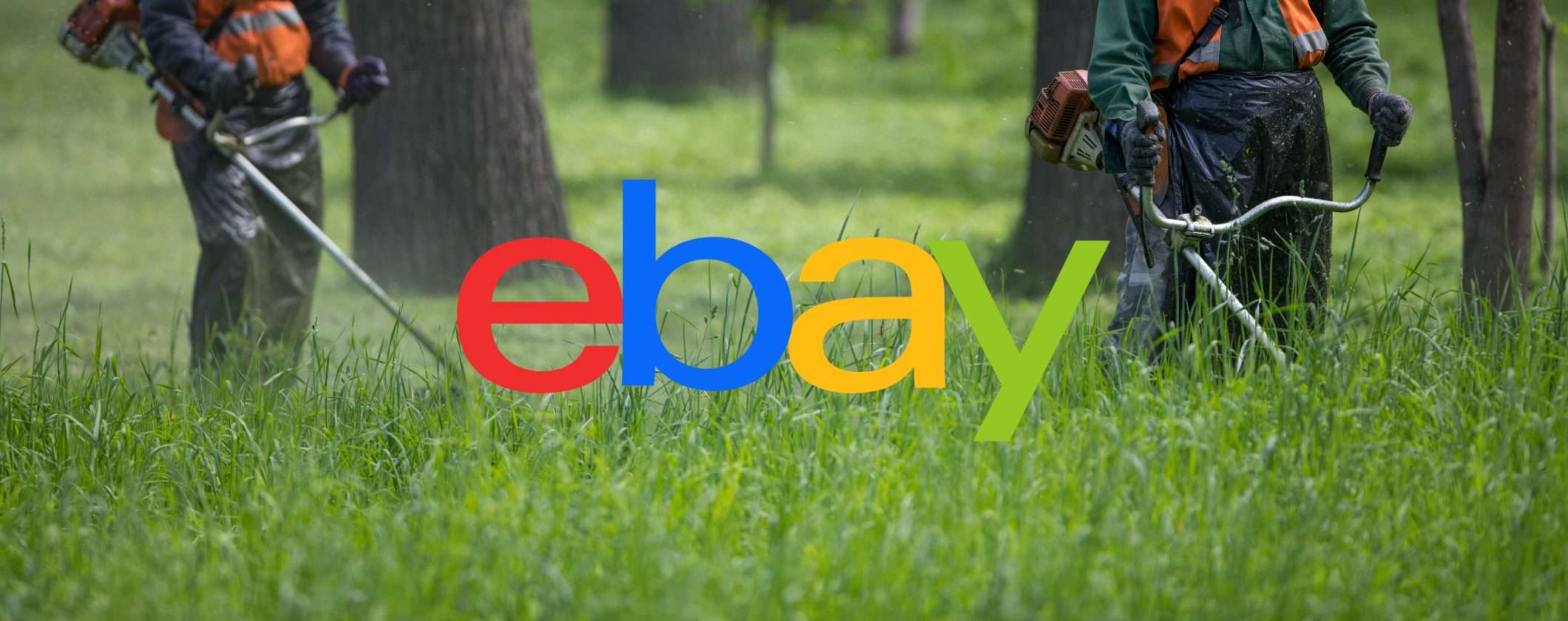 Potente decespugliatore a scoppio sotto i 99€ su eBay Potente decespugliatore a scoppio sotto i 99€ su eBay