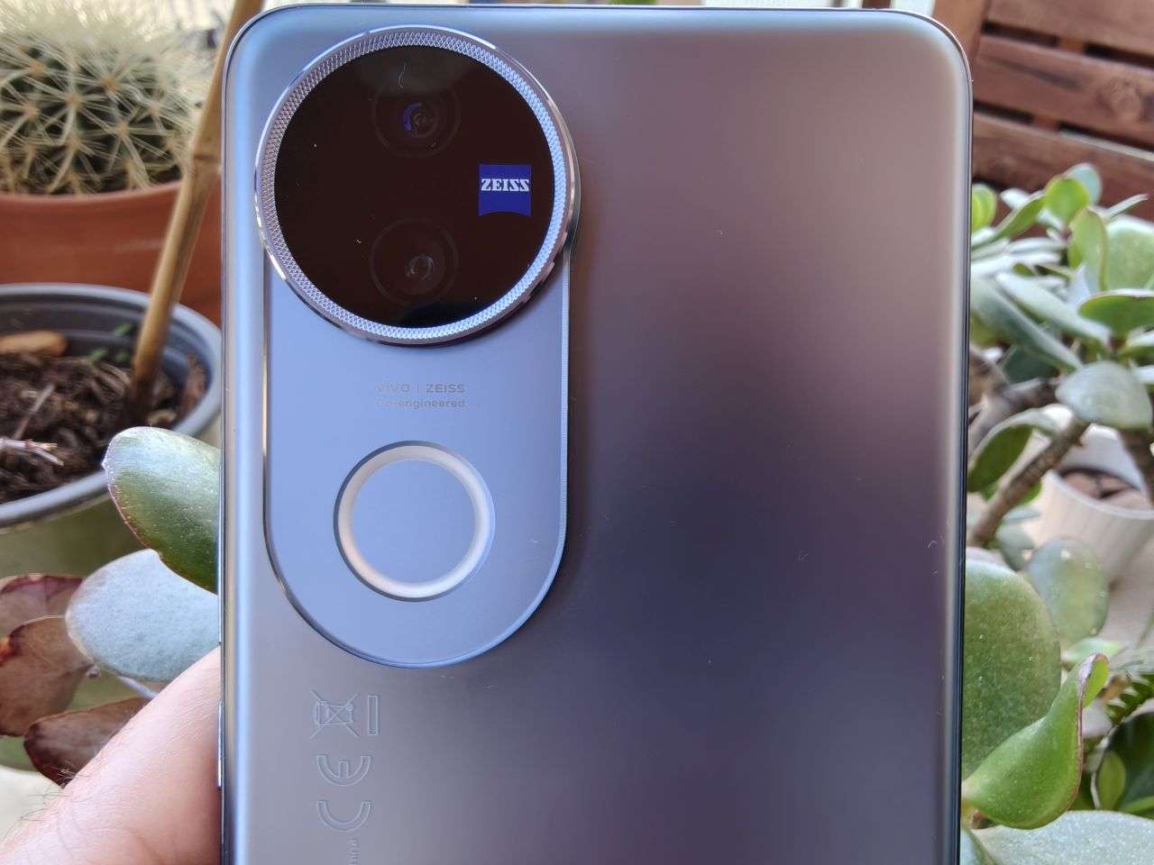 vivo v50 camera bump