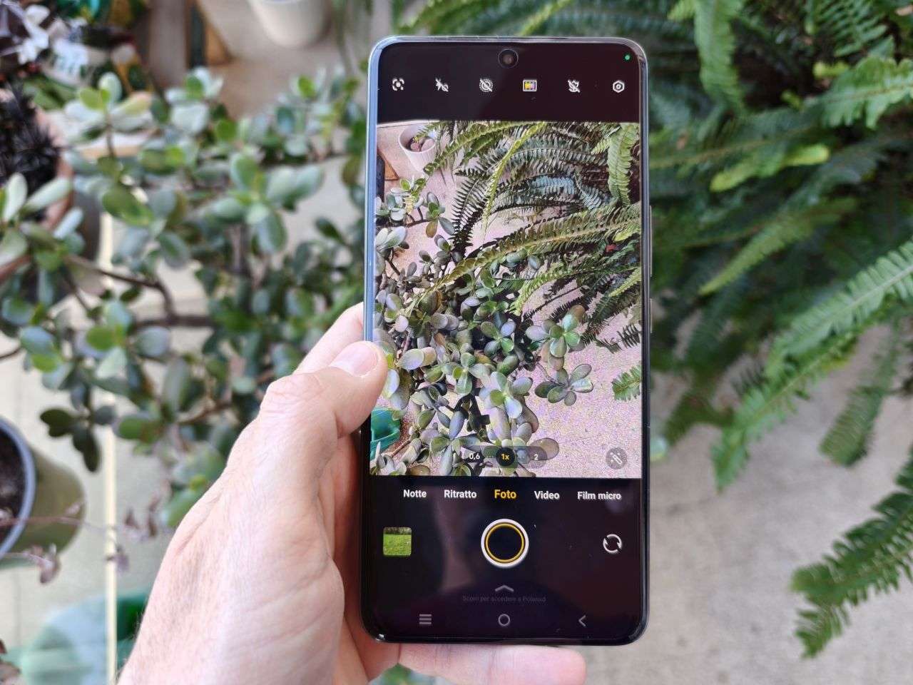 vivo v50 schermo