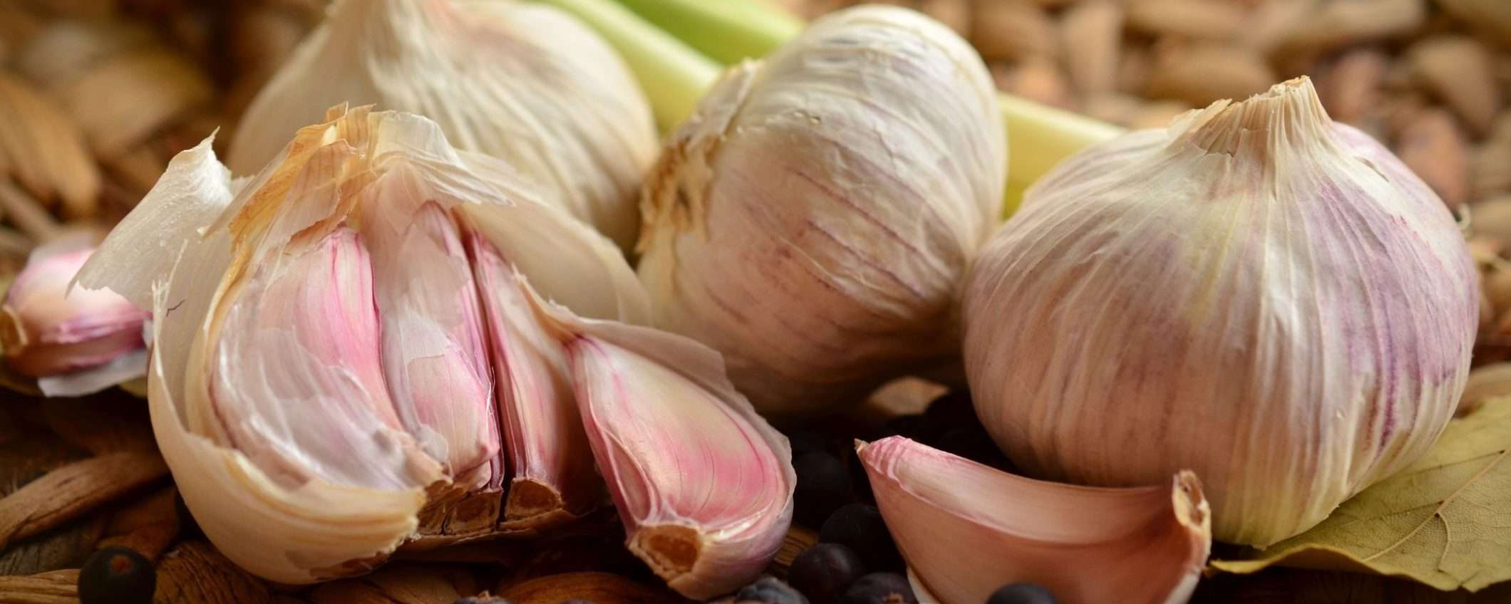 Parassiti delle piante ELIMINATI con l'aglio: il segreto che pochi conoscono