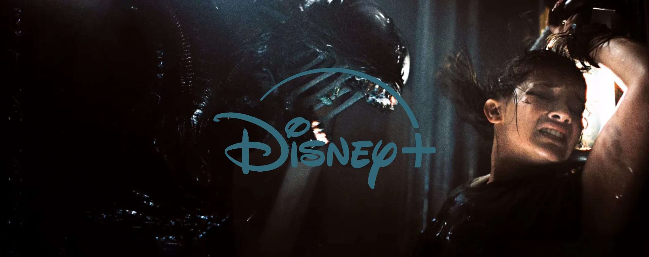 Disney+: film, serie e docu in arrivo a maggio 2025 Disney+: film, serie e docu in arrivo a maggio 2025