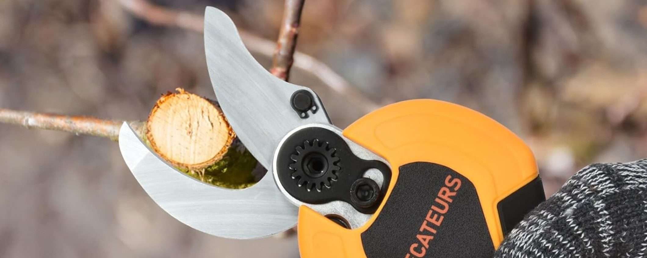 Forbici per potatura elettriche: super accessoriate e in DOPPIO SCONTO Forbici per potatura elettriche: super accessoriate e in DOPPIO SCONTO