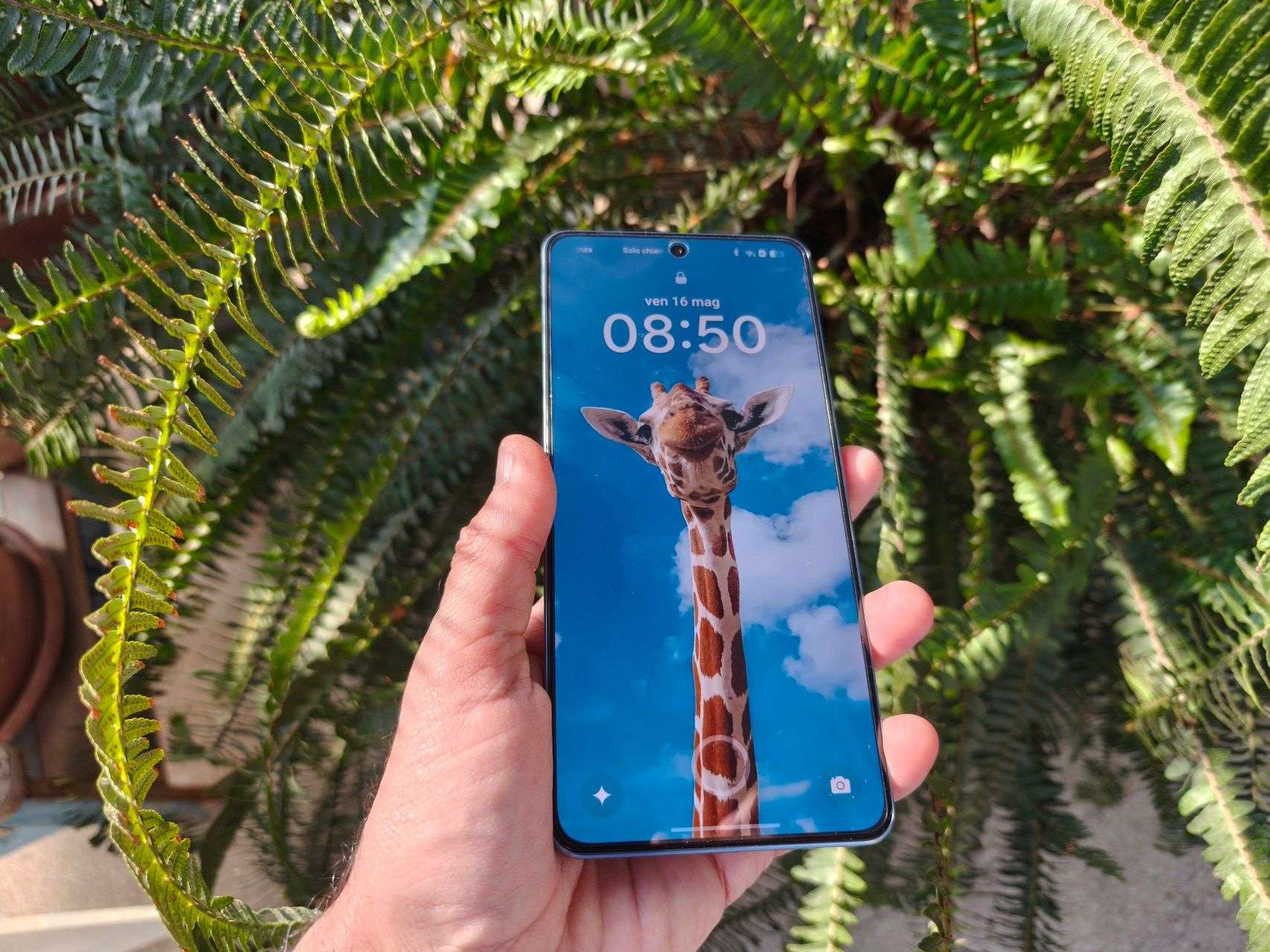 realme gt7 schermo