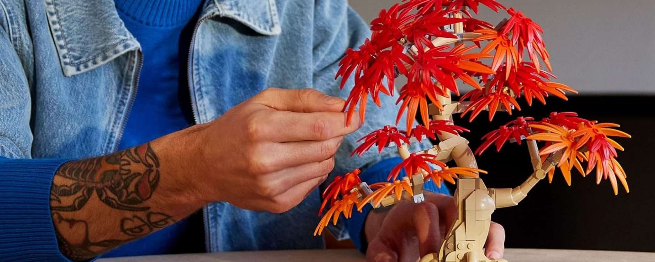 Il nuovo LEGO Bonsai di Acero Rosso Giapponese è già in OFFERTA su Amazon Il nuovo LEGO Bonsai di Acero Rosso Giapponese è già in OFFERTA su Amazon