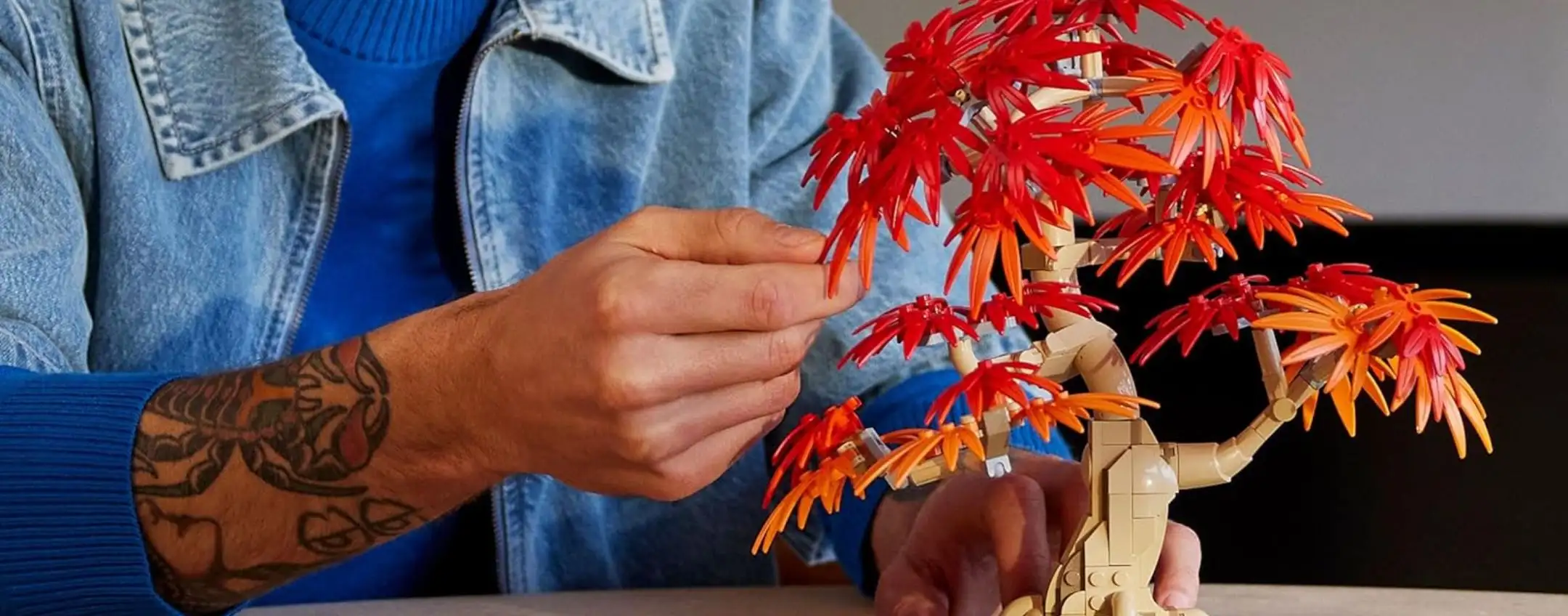 Il nuovo LEGO Bonsai di Acero Rosso Giapponese è già in OFFERTA su Amazon